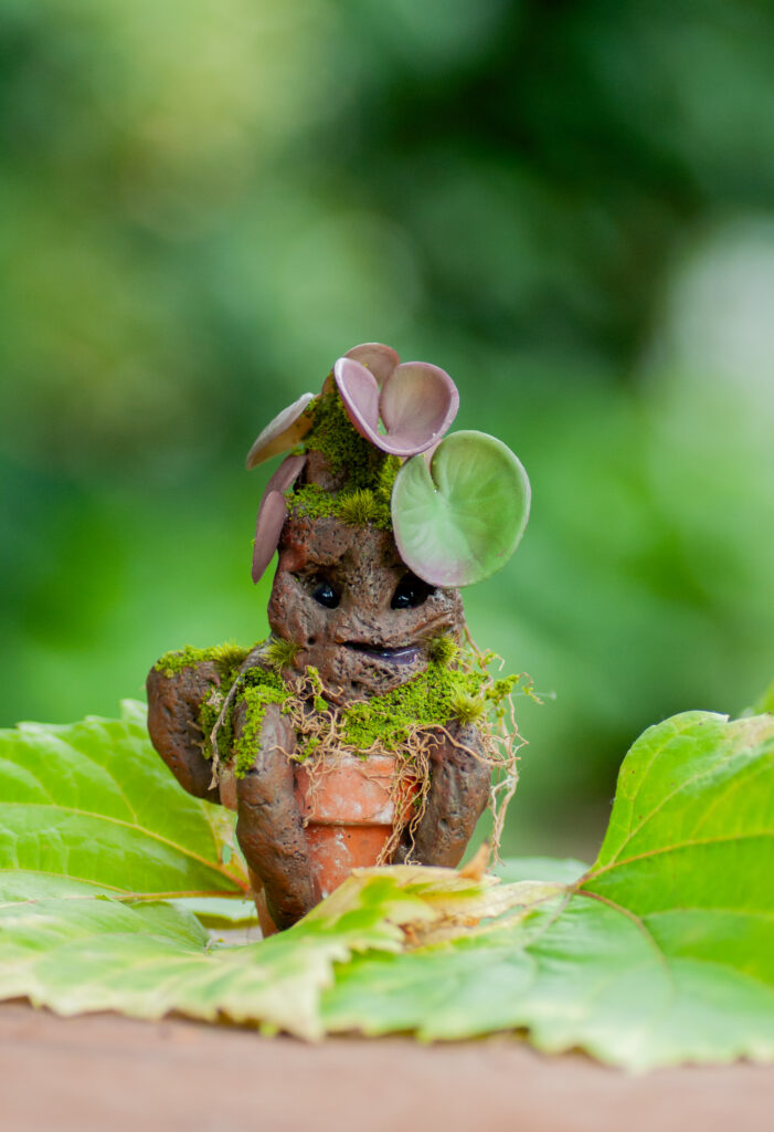 Magical seedling guardian, Rootling whimsical forest creature