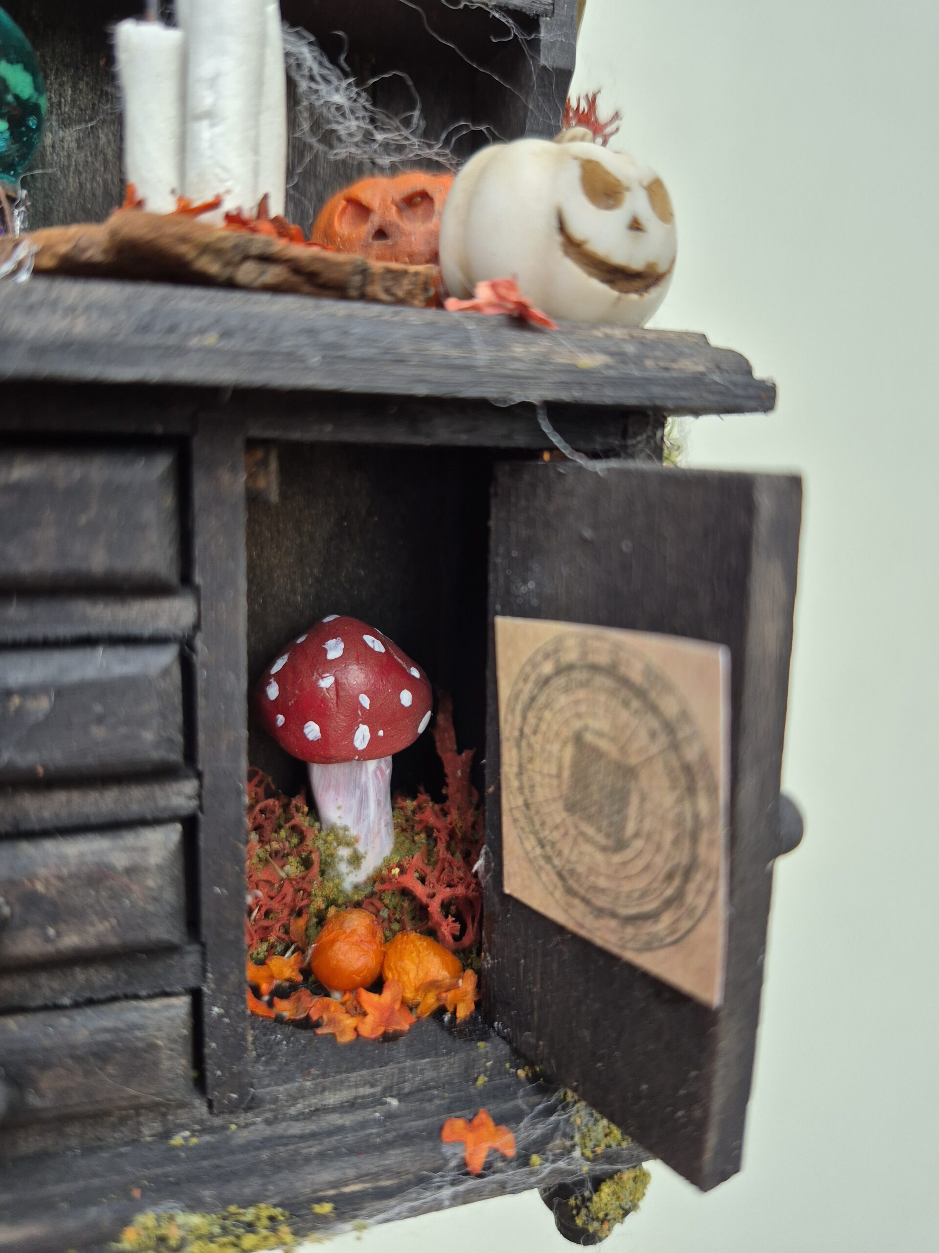 Witchy cabinet - Image 18