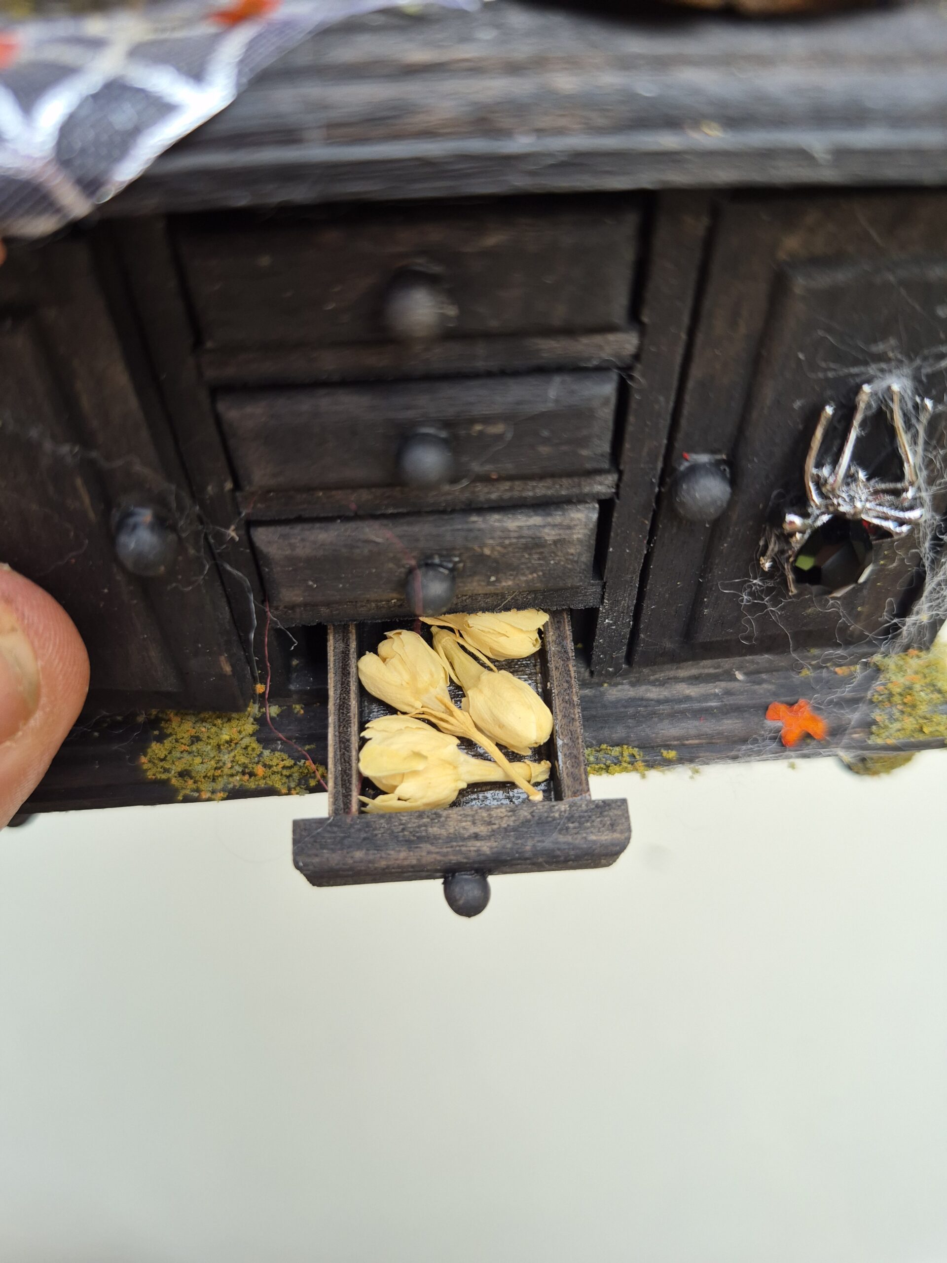 Witchy cabinet - Image 20