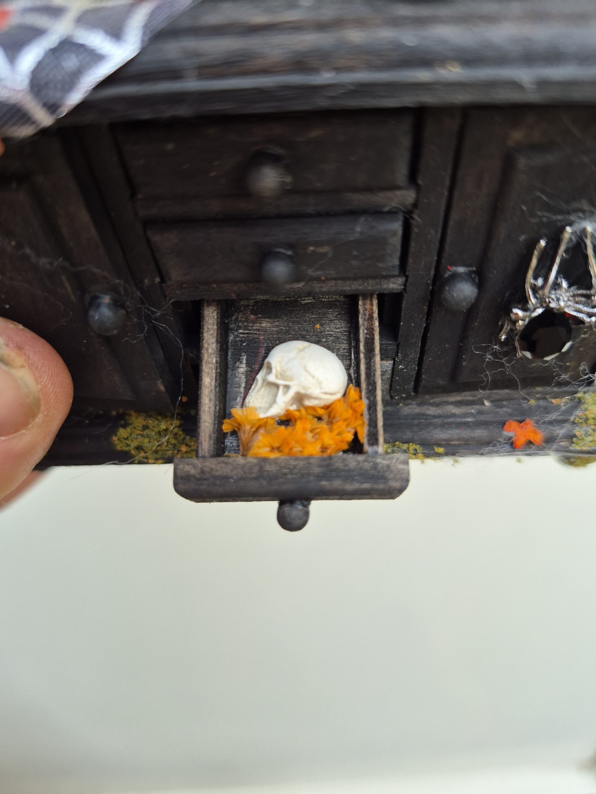 Witchy cabinet - Image 21