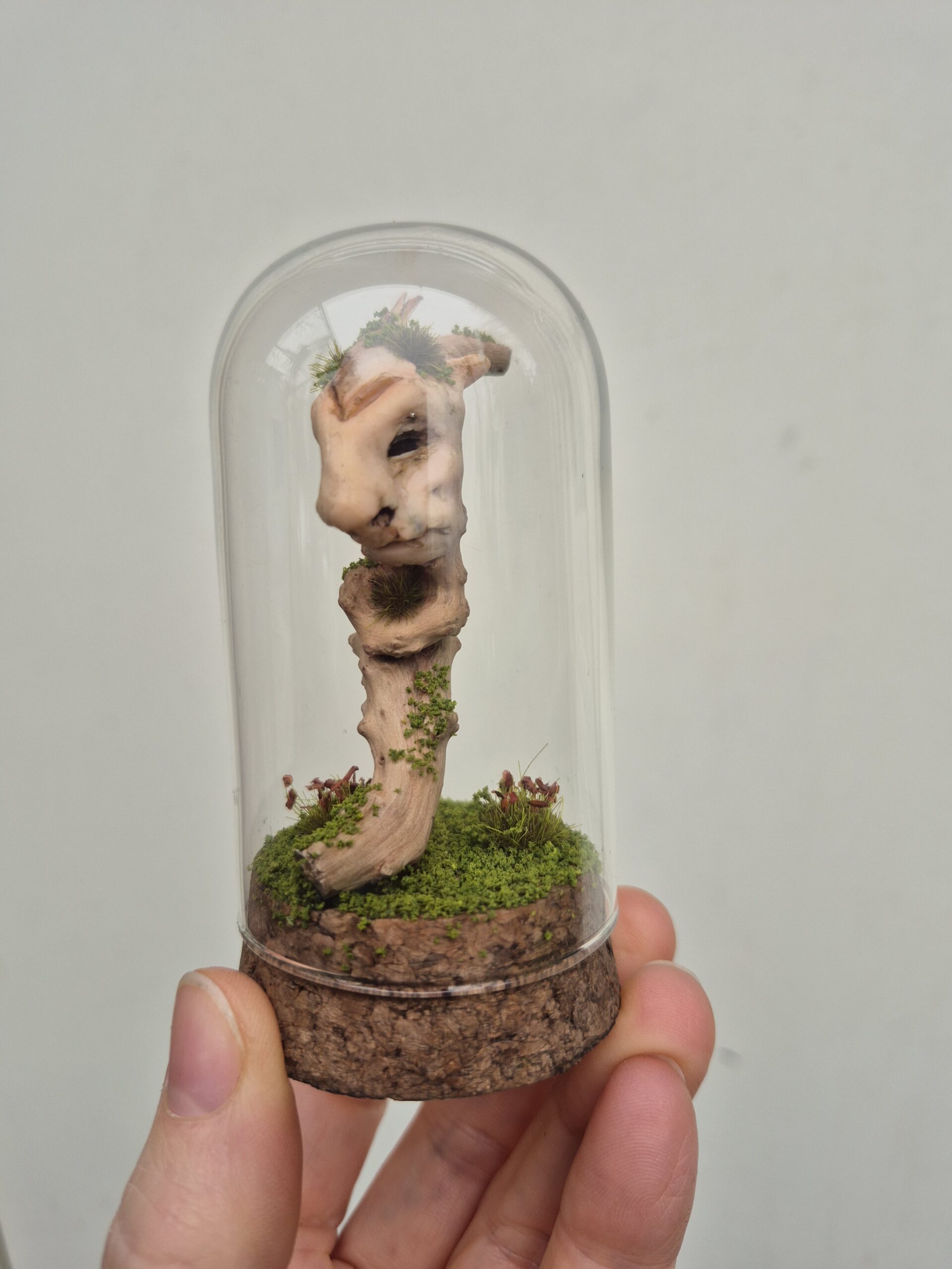 Keeper of the Silent Spring - Image 8