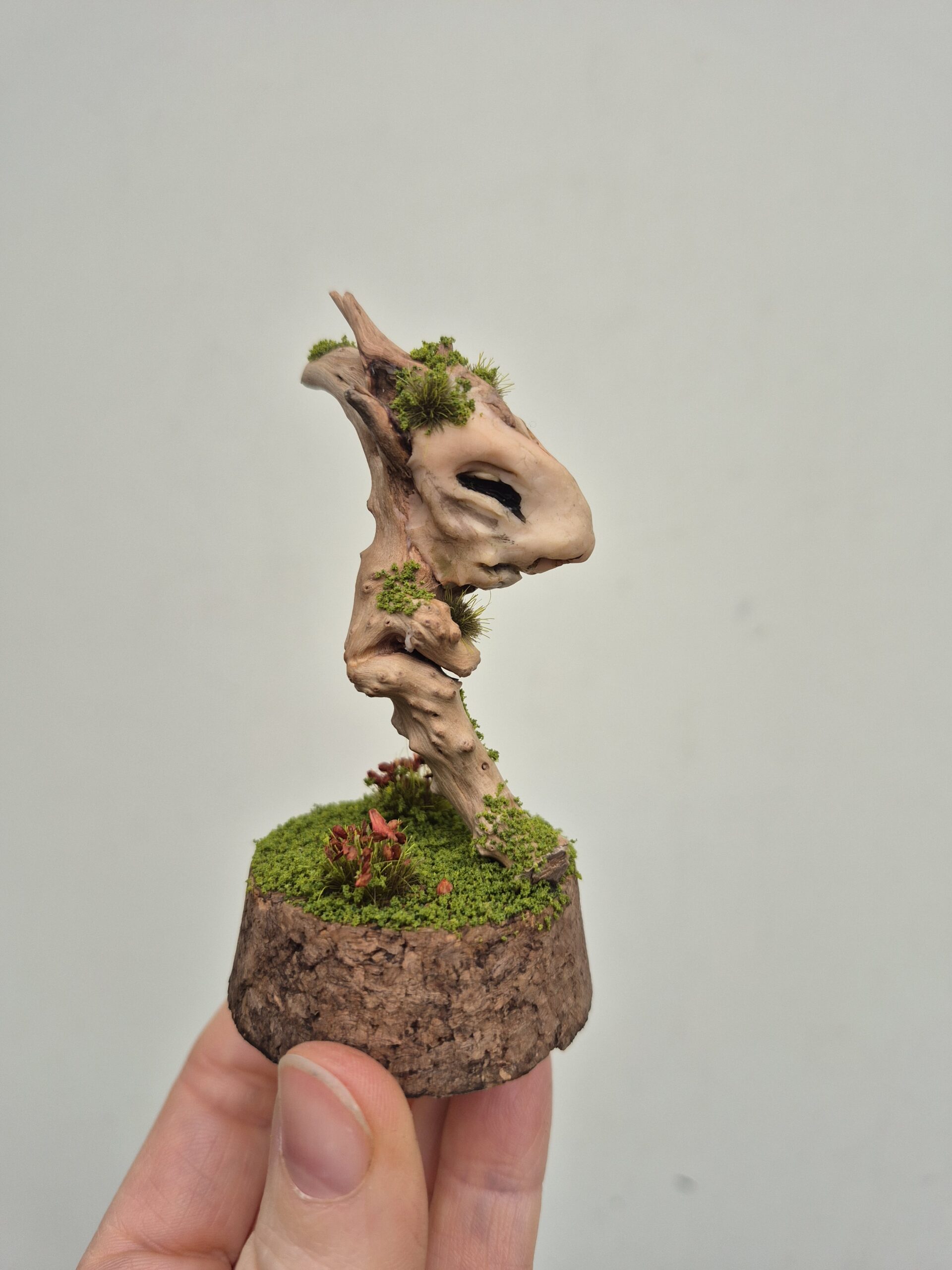 Keeper of the Silent Spring - Image 16