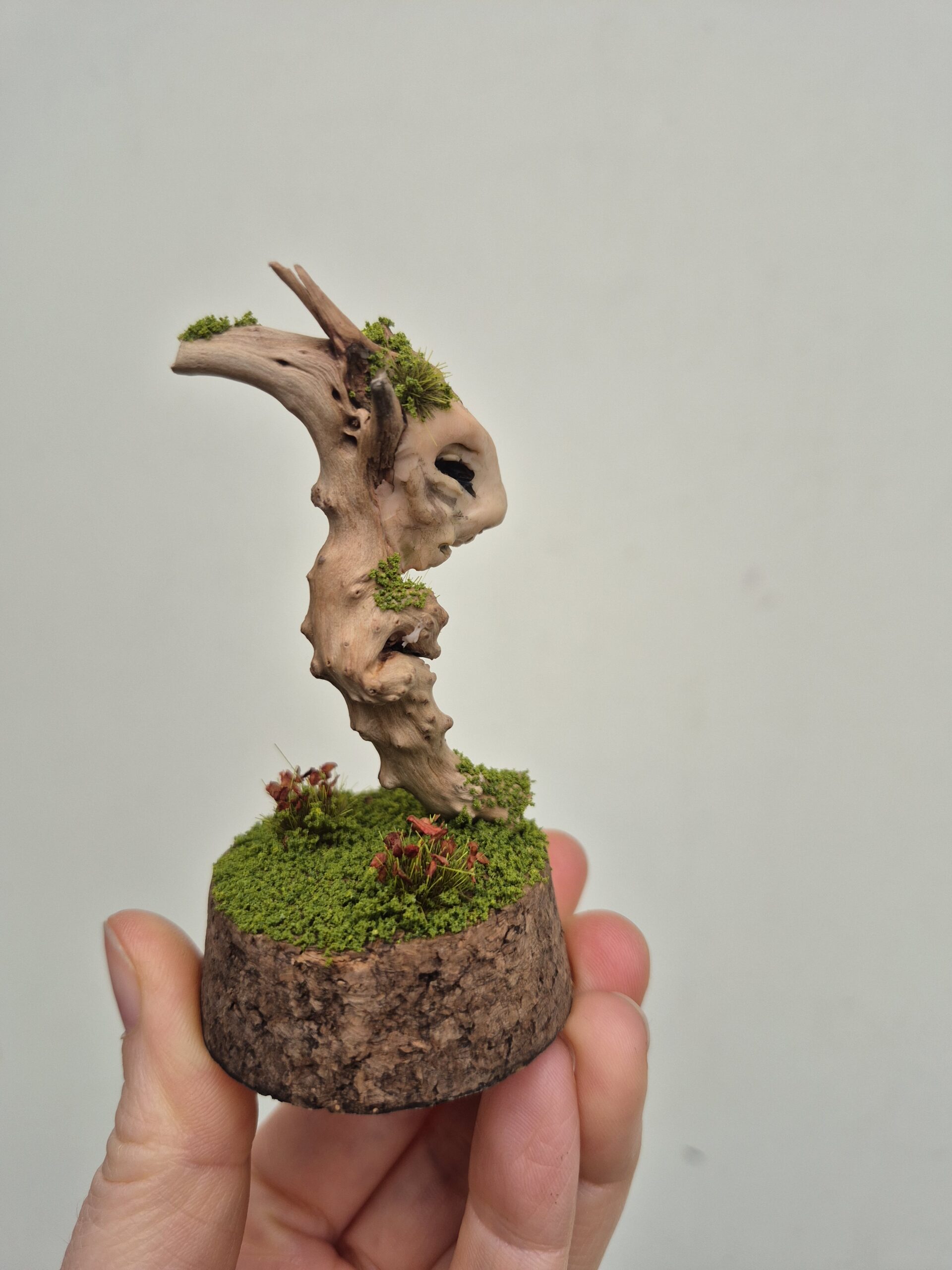 Keeper of the Silent Spring - Image 20