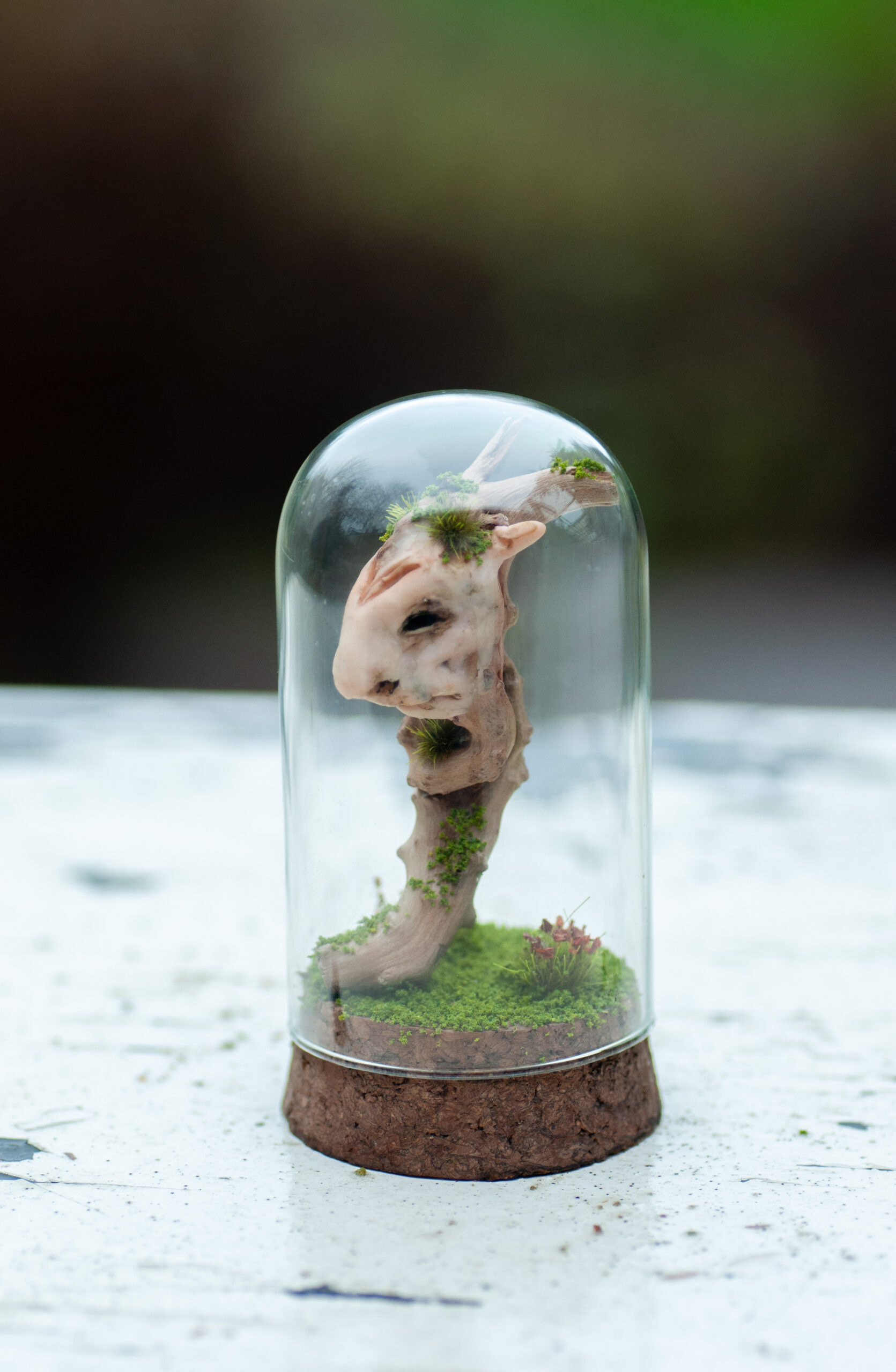 Keeper of the Silent Spring - Image 9