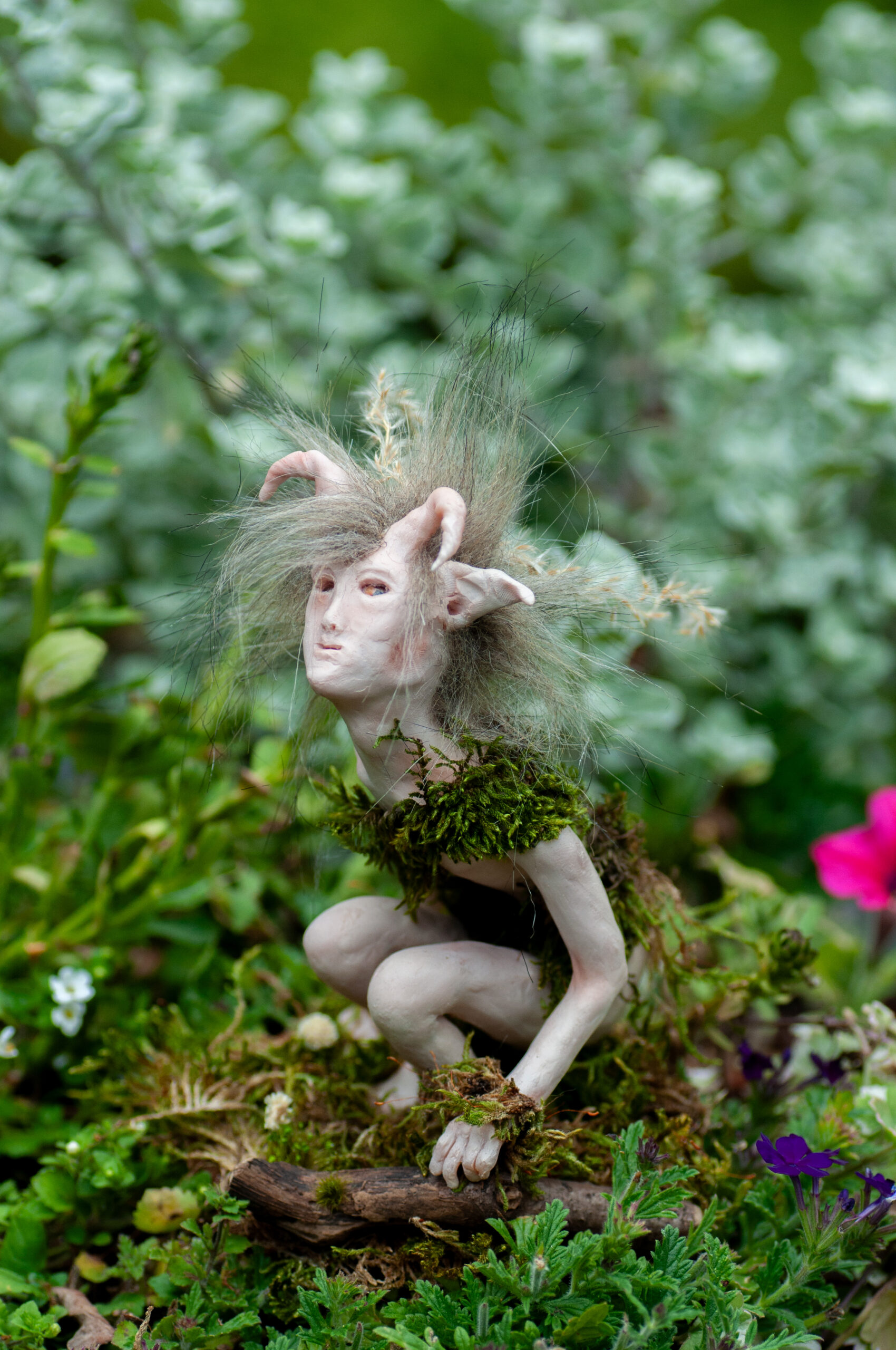 Thyme - Image 9