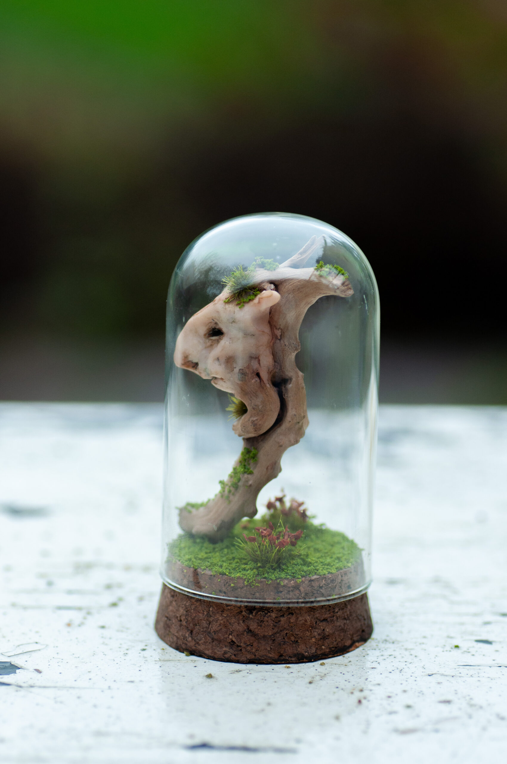 Keeper of the Silent Spring - Image 10
