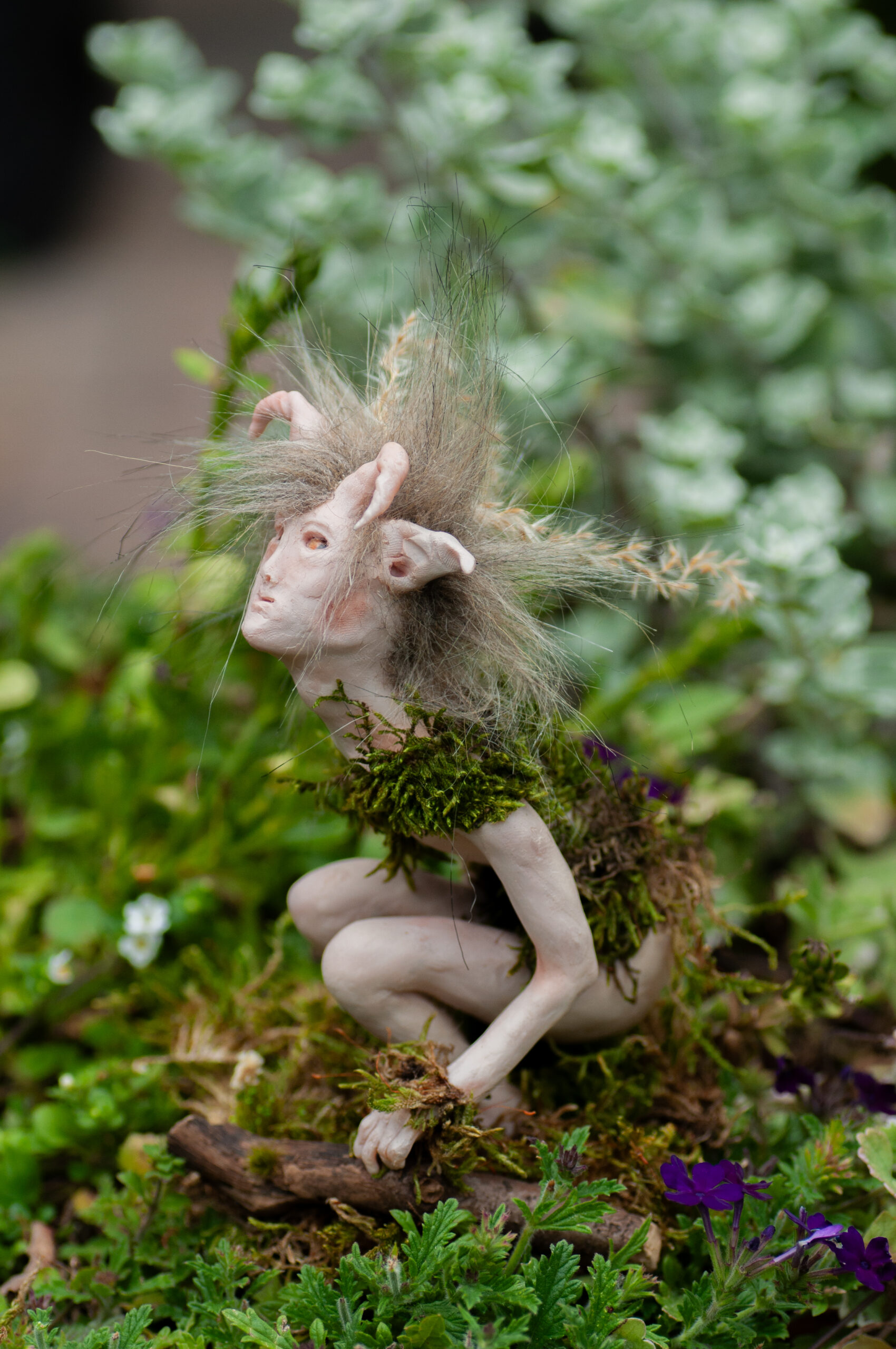 Thyme - Image 10