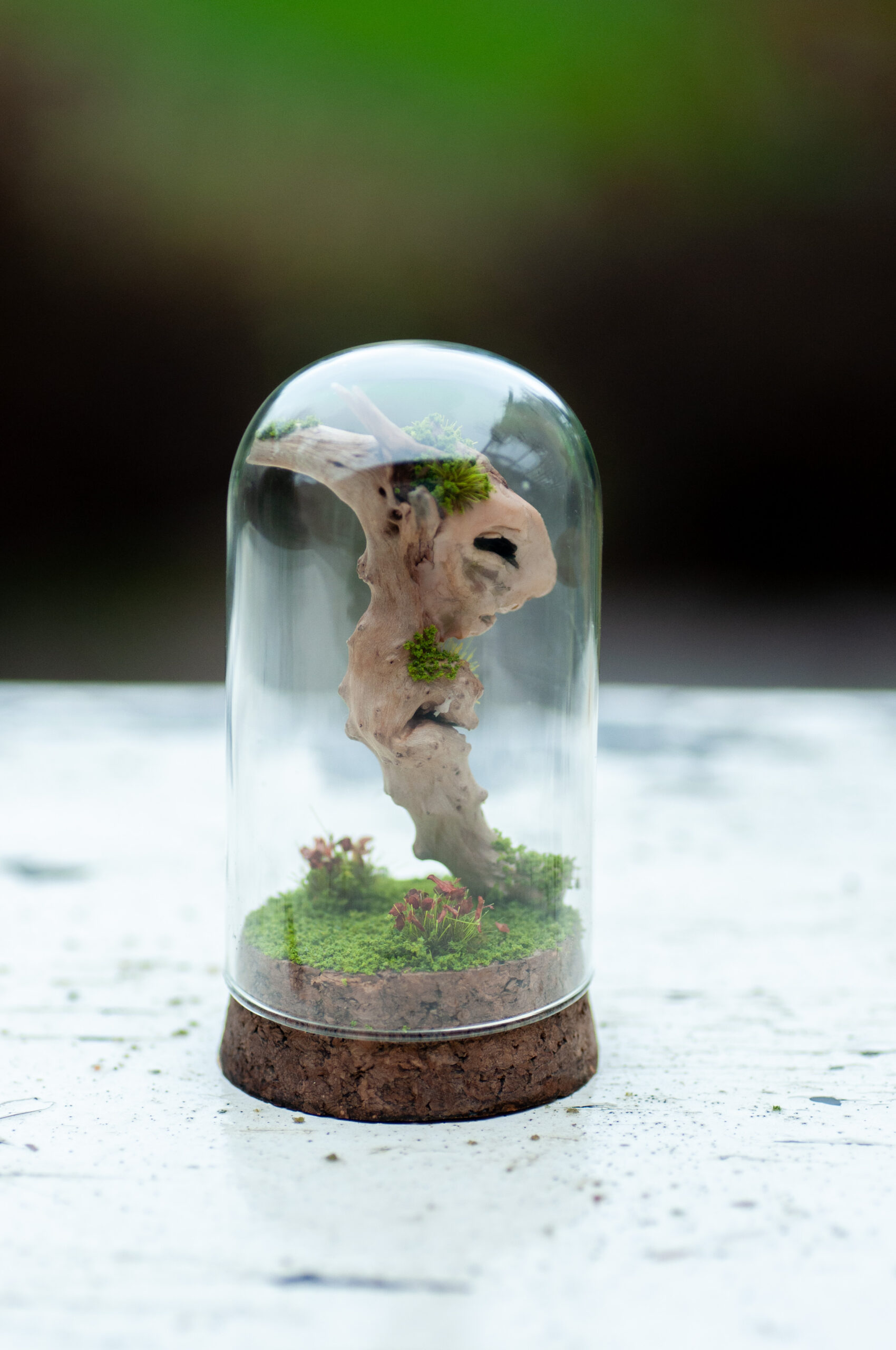 Keeper of the Silent Spring - Image 11