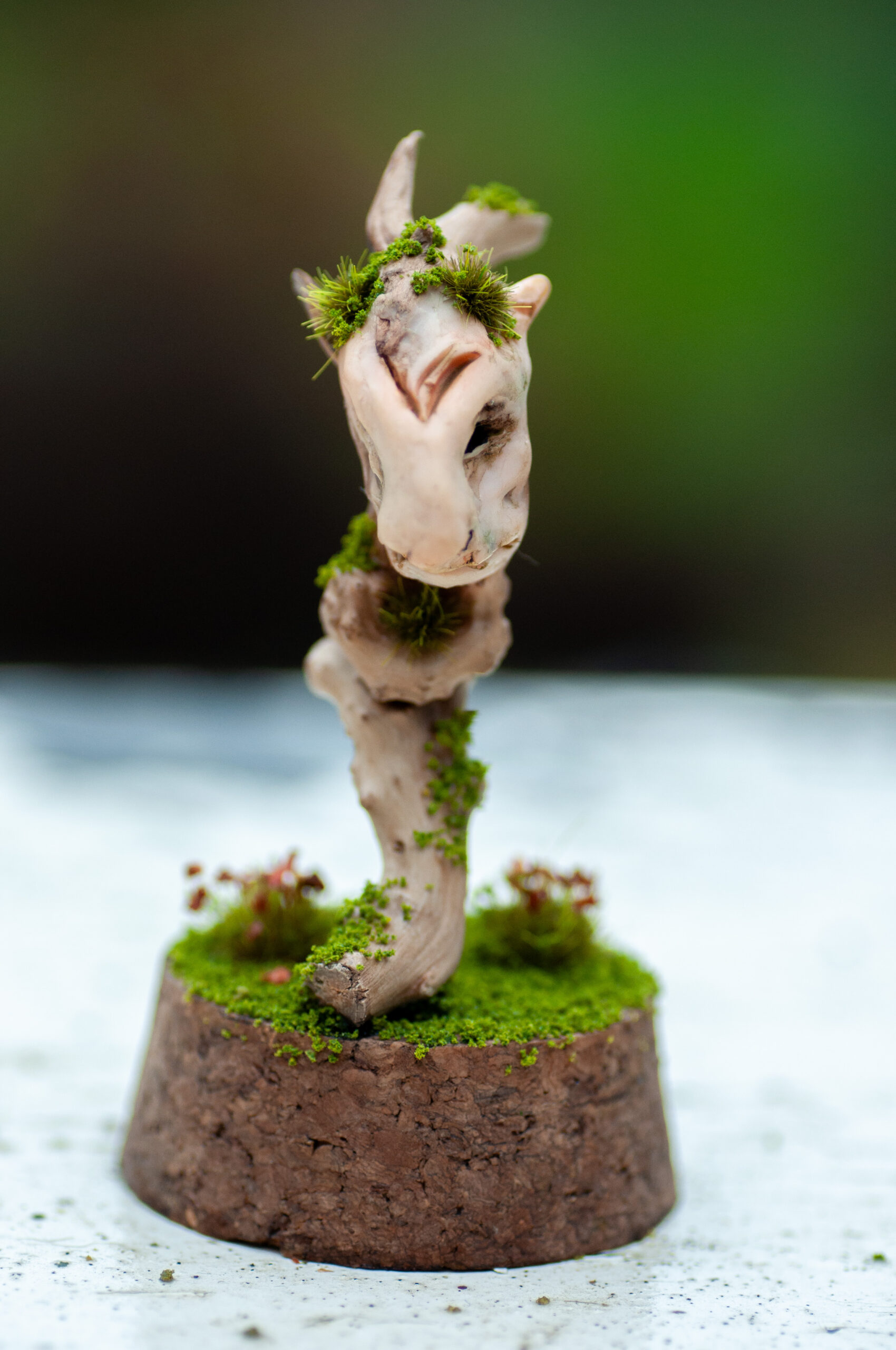 Keeper of the Silent Spring - Image 7