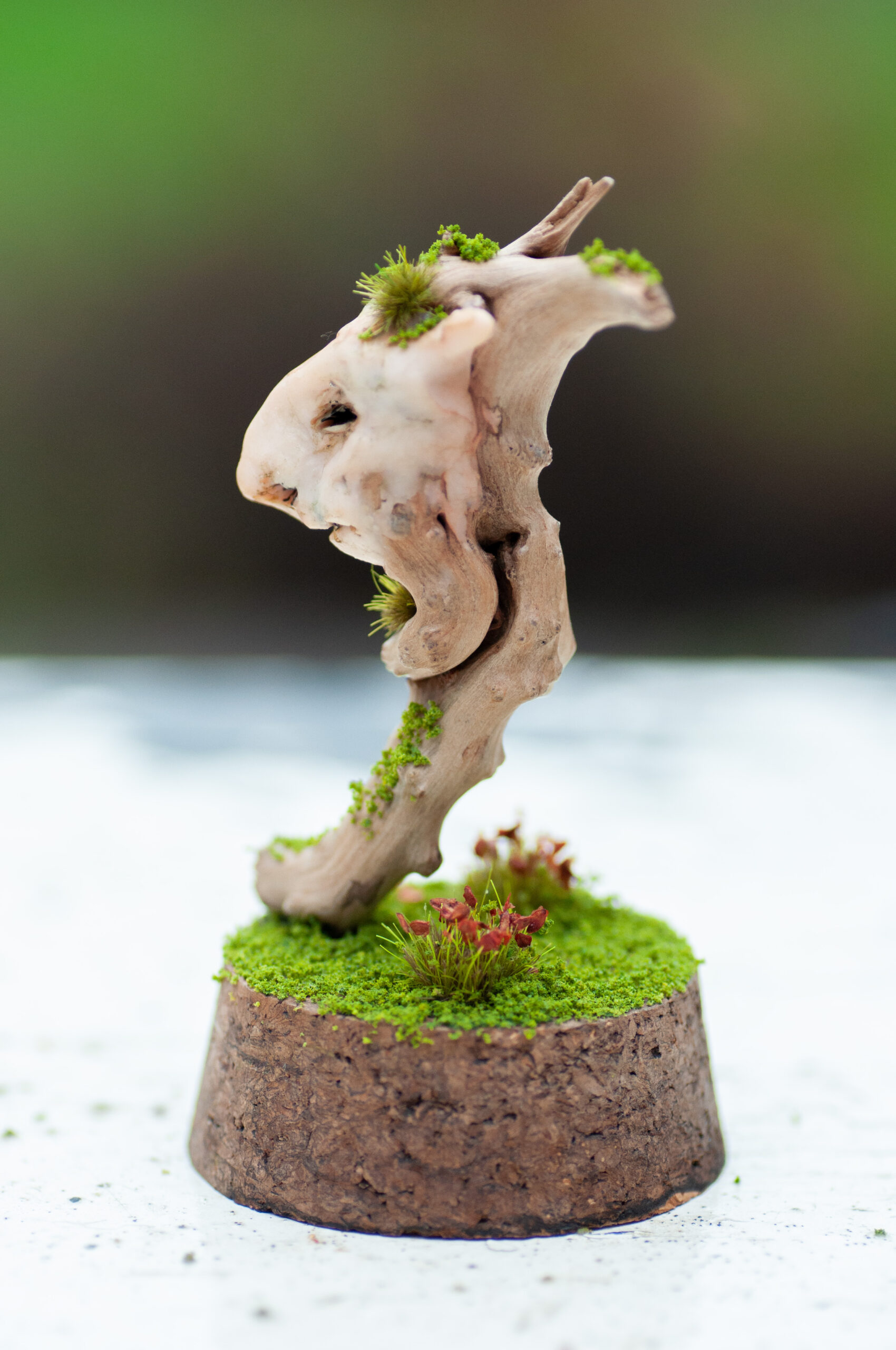 Keeper of the Silent Spring - Image 4