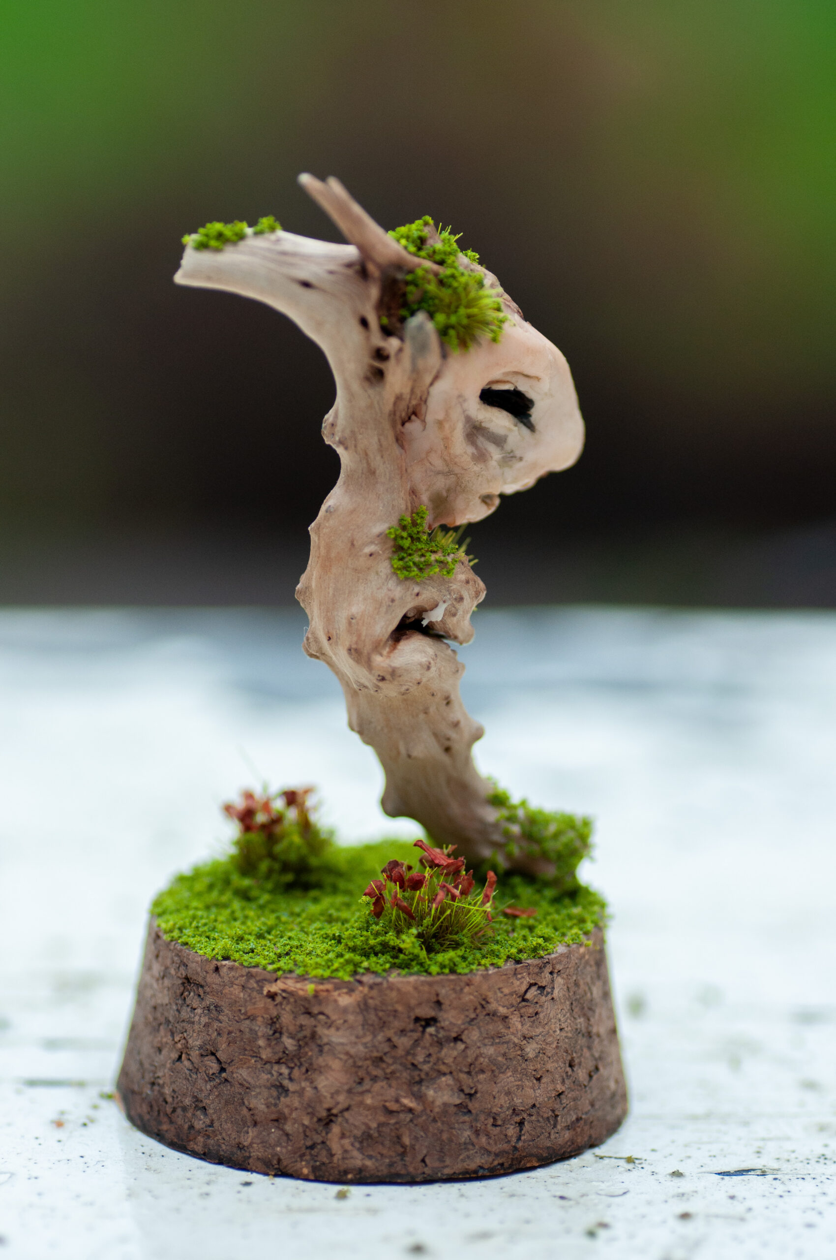 Keeper of the Silent Spring - Image 5