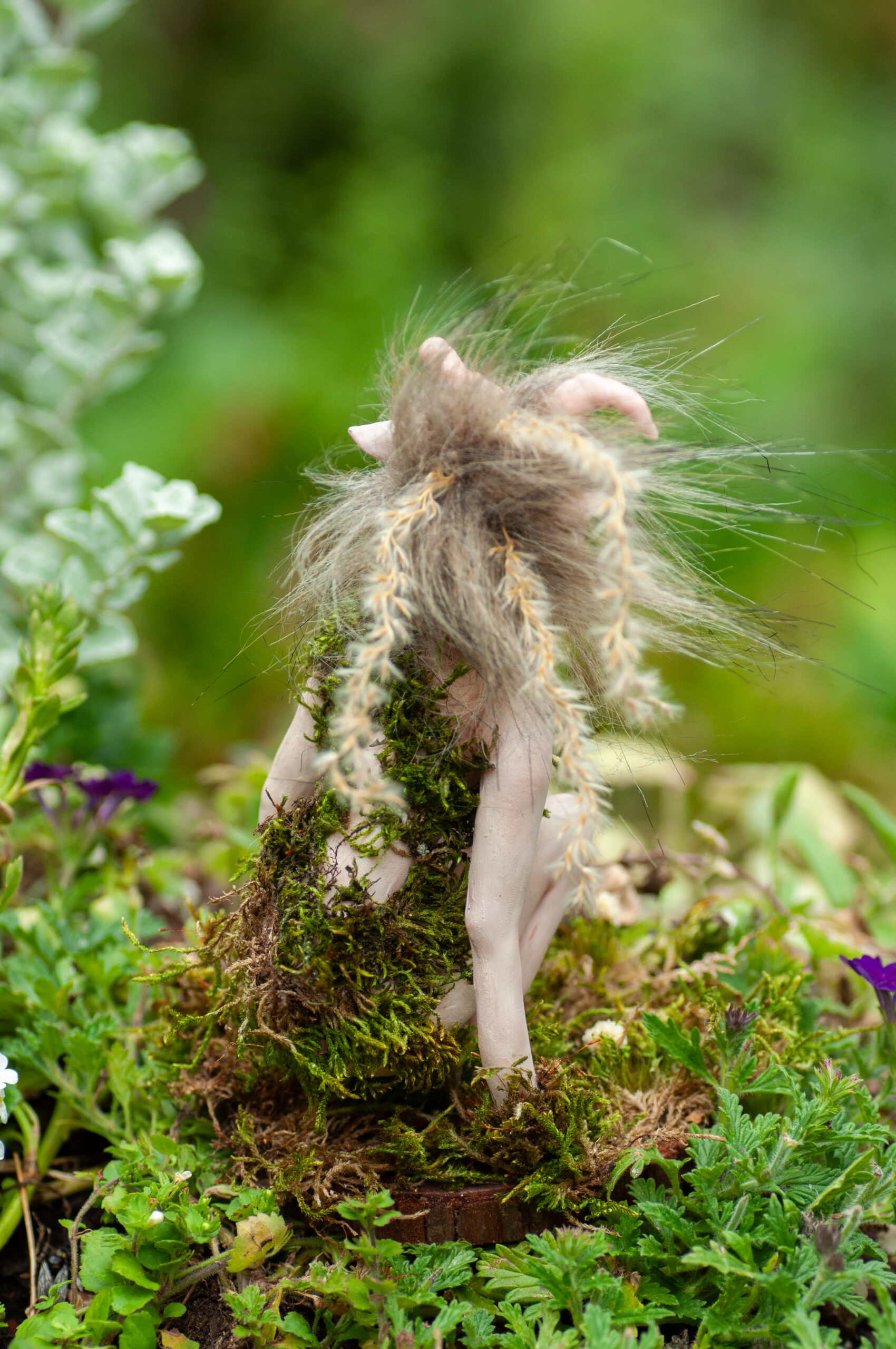 Thyme - Image 11