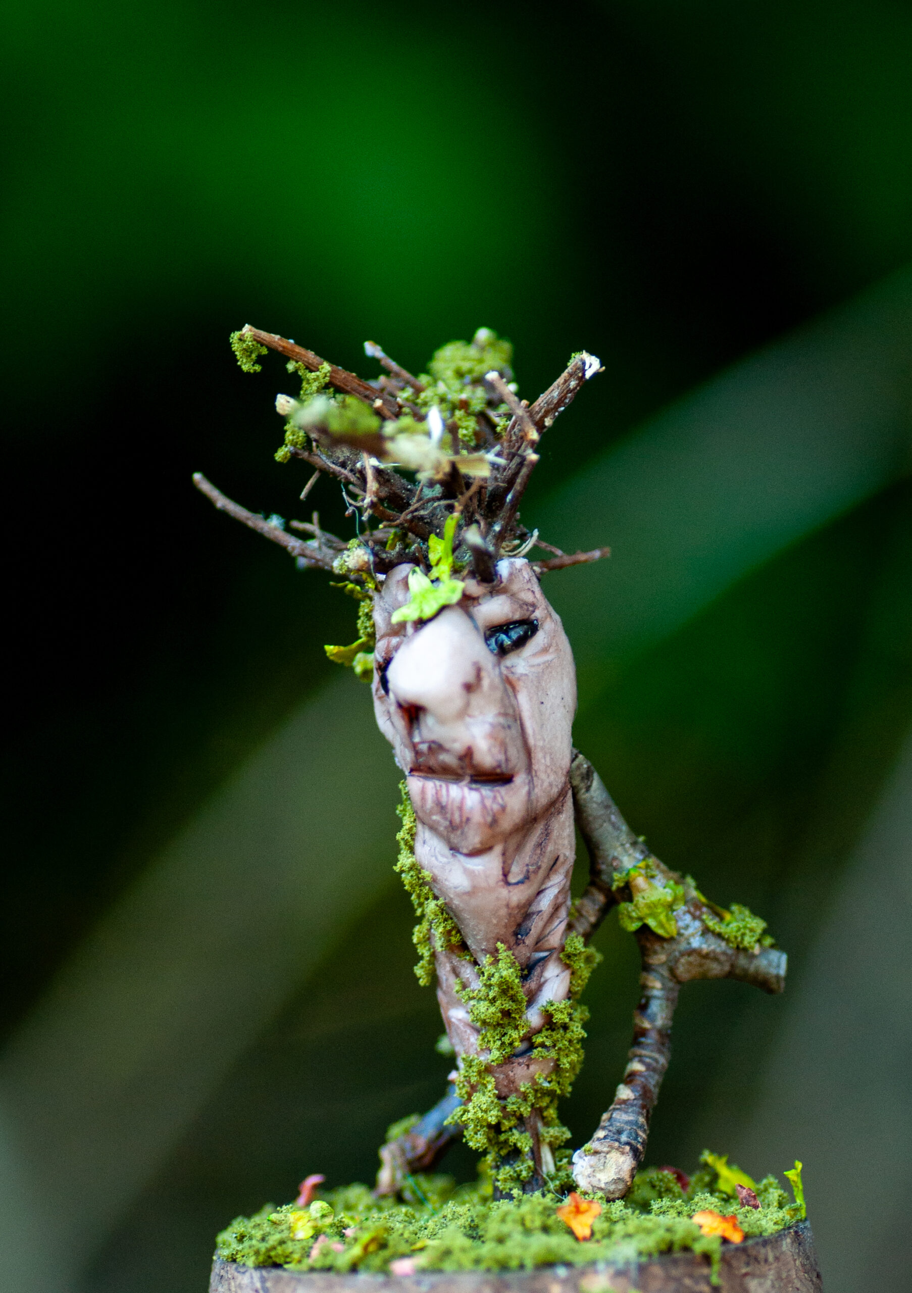 Sentinel of the Fallen Grove - Image 2