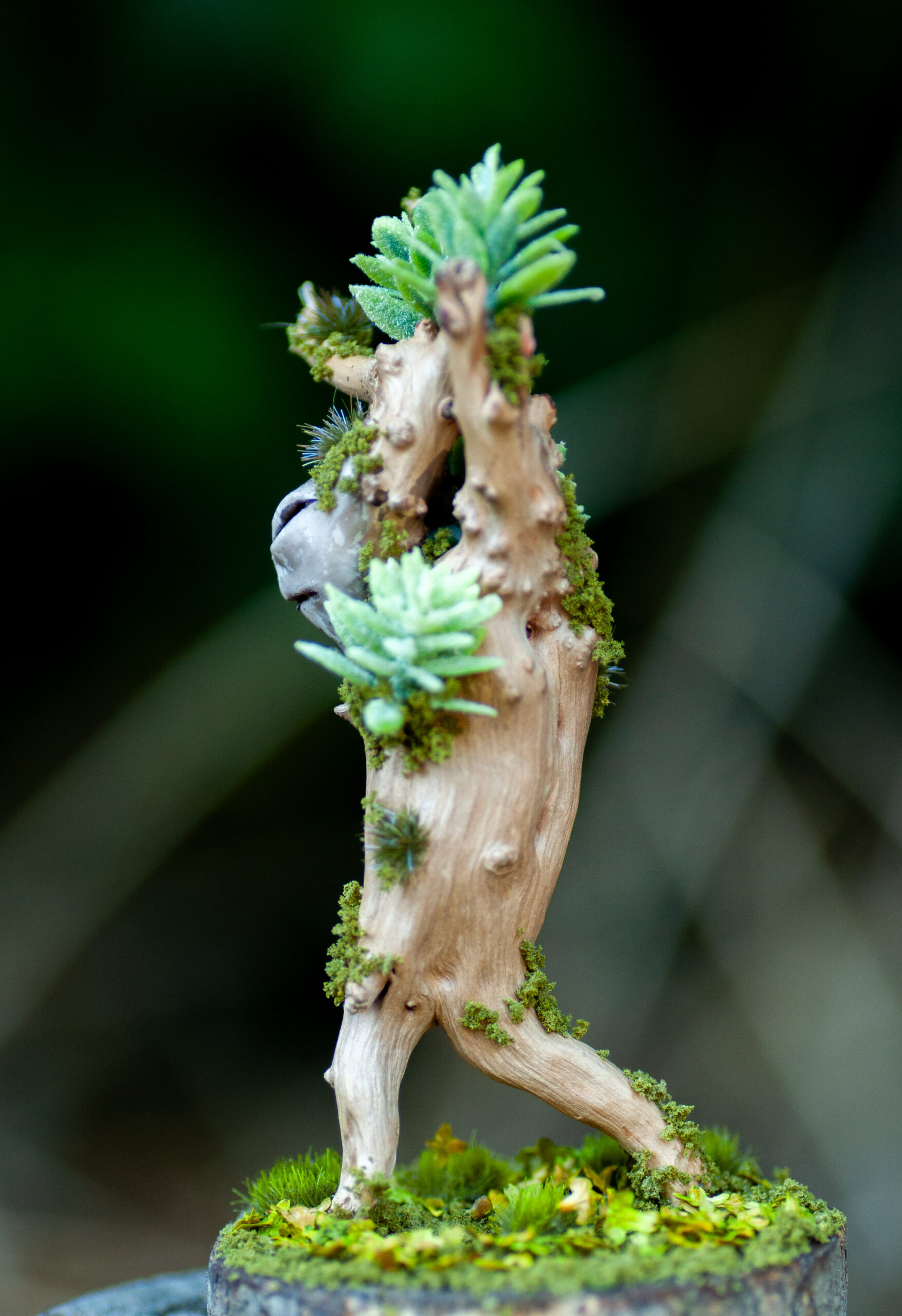 Sentinel of the Whispering Roots - Image 2