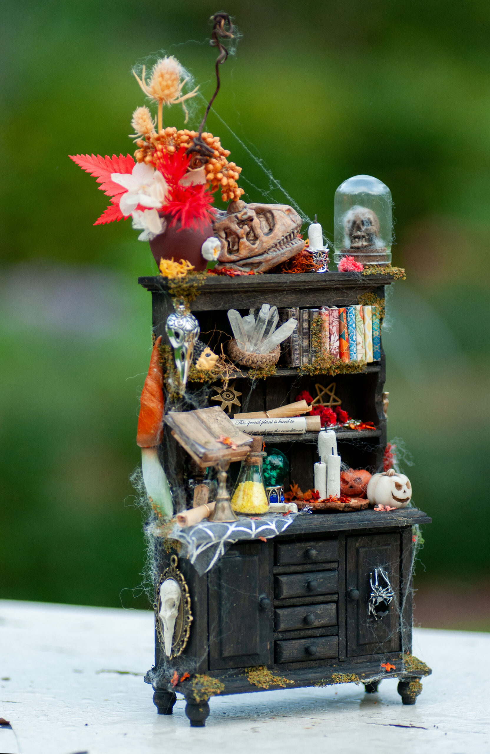 Witchy cabinet - Image 5