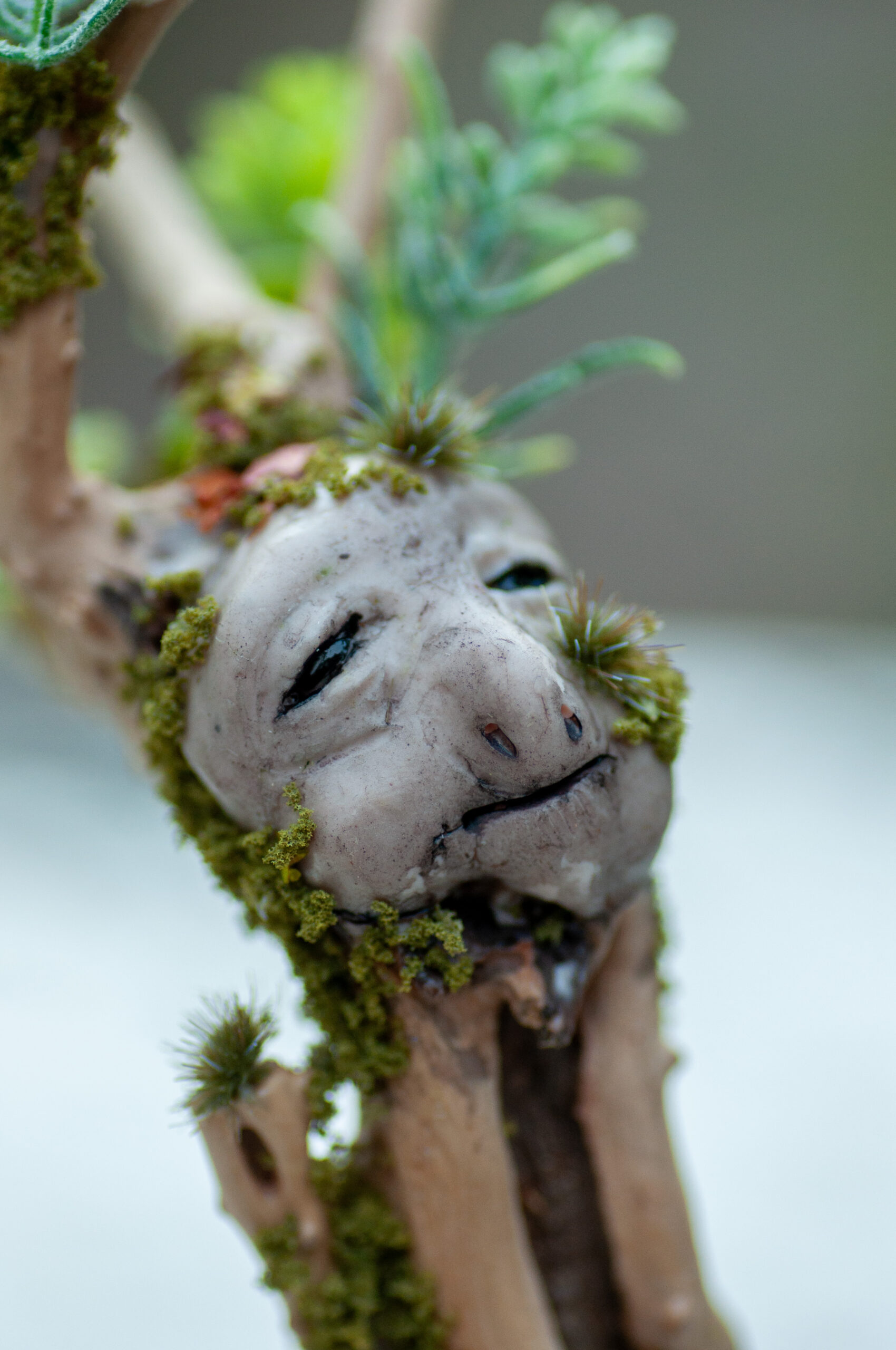Watcher of the Stone Hollow - Image 6