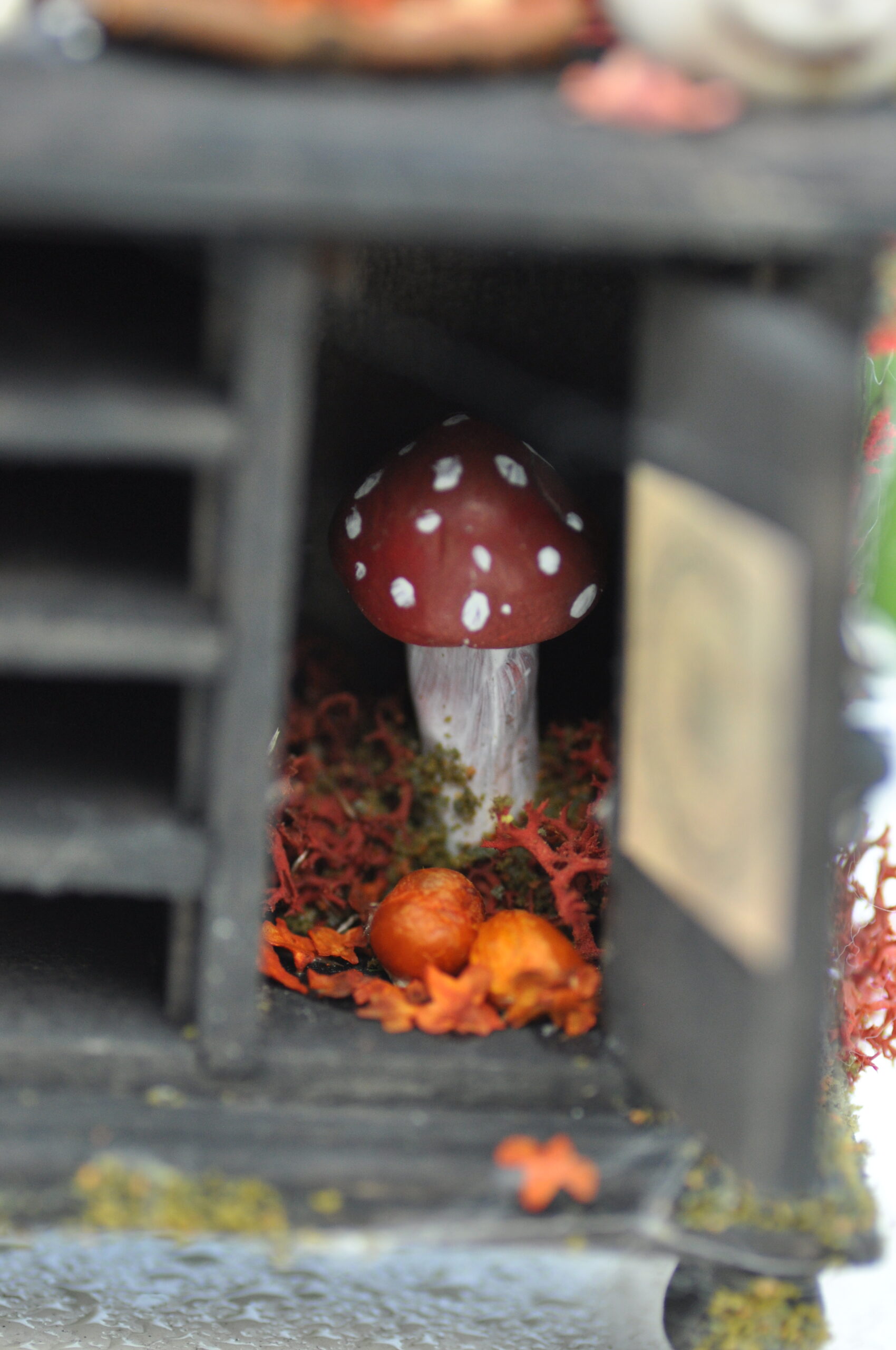 Witchy cabinet - Image 26
