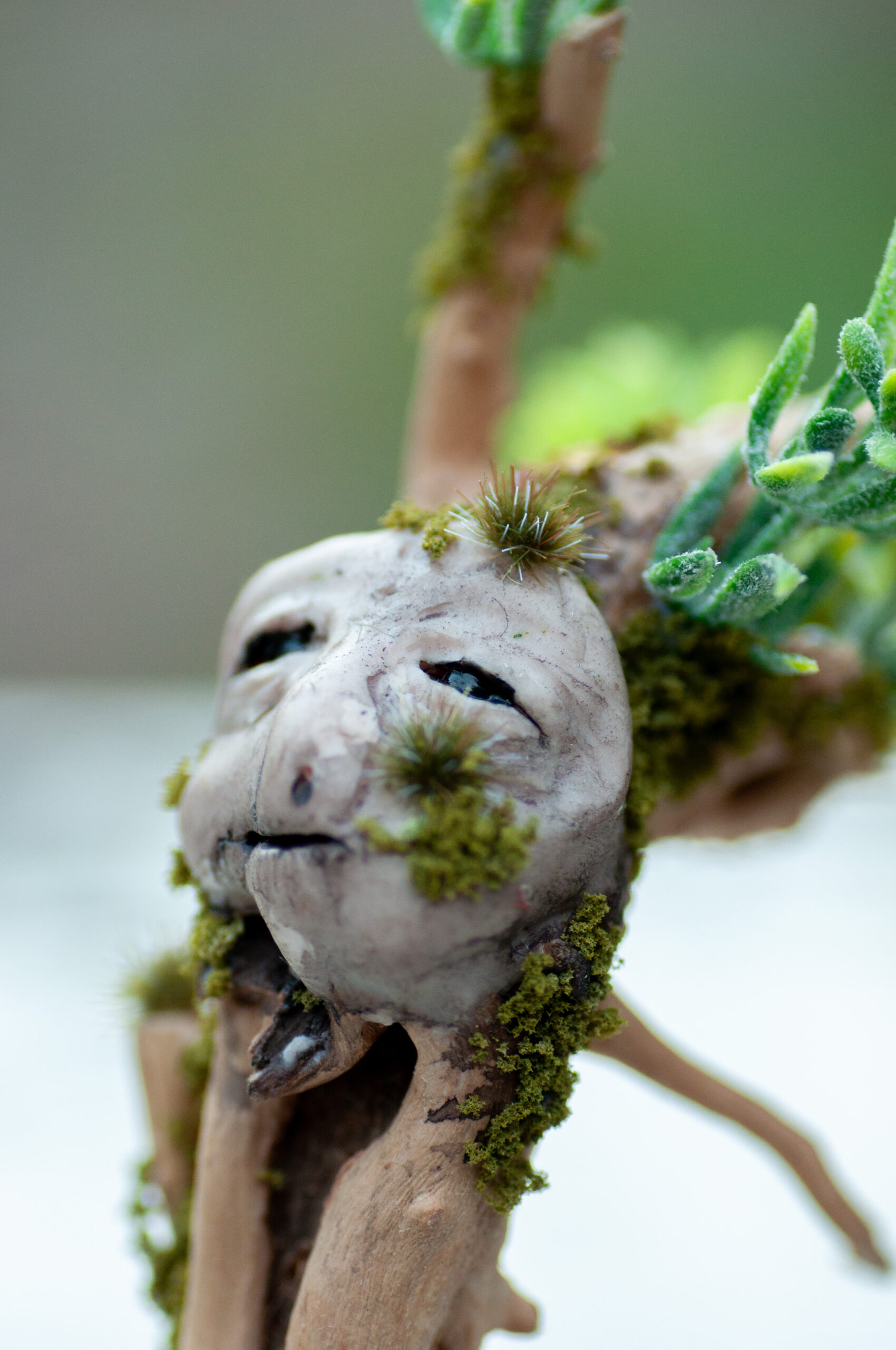 Watcher of the Stone Hollow - Image 5
