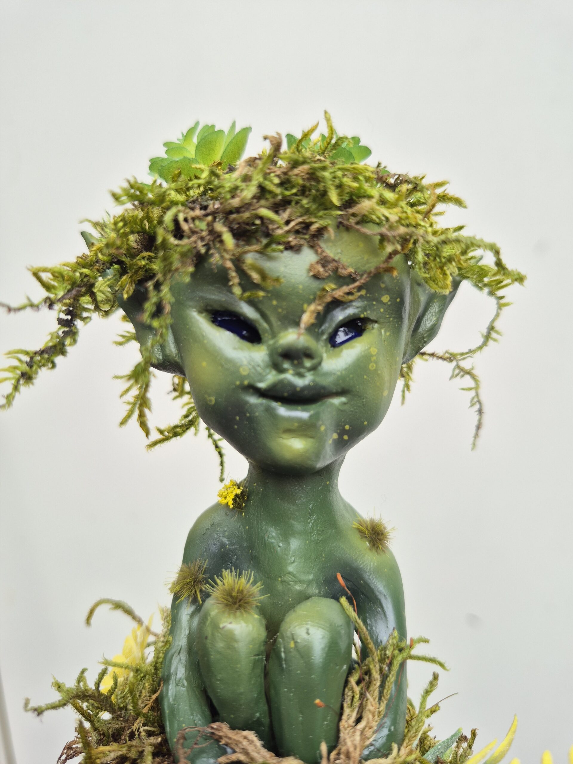 Toffel - Image 4