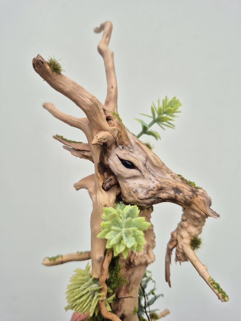 Keeper of the Rainwood