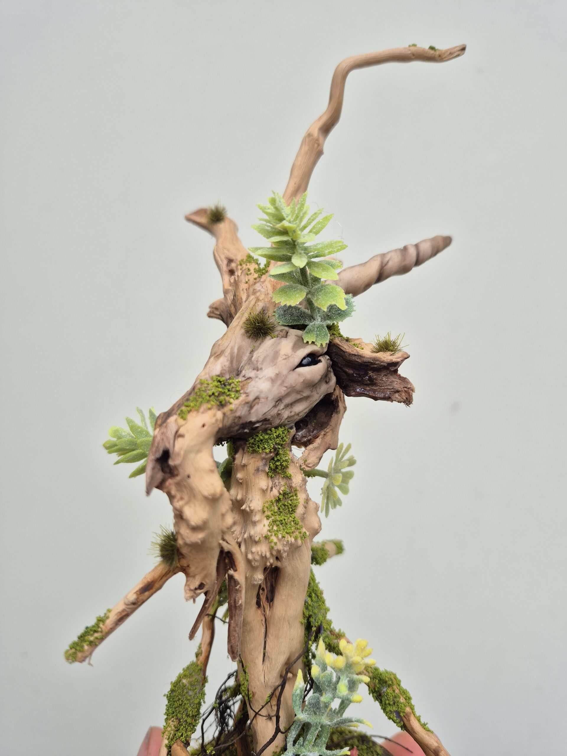 Keeper of the Rainwood - Image 3