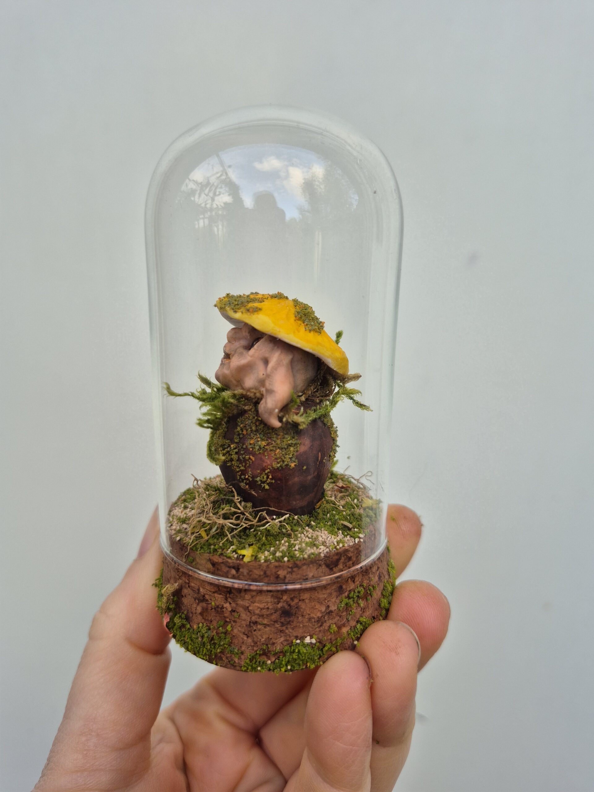 Sprig - Image 16