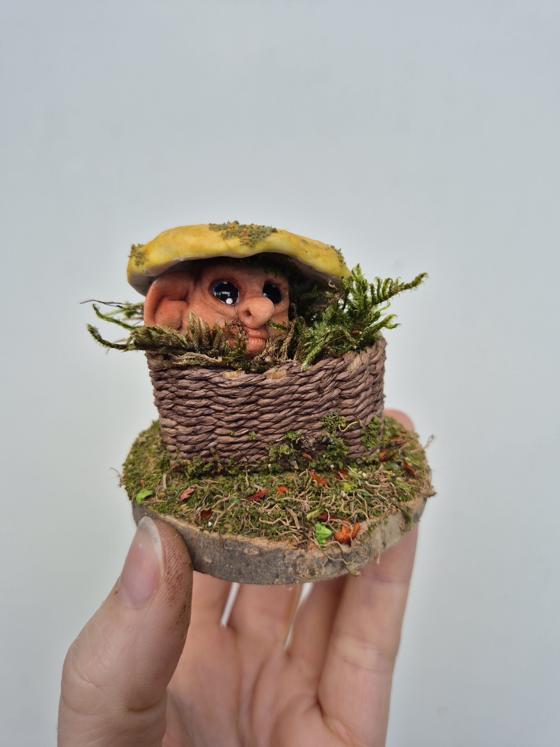 Pip - Image 3