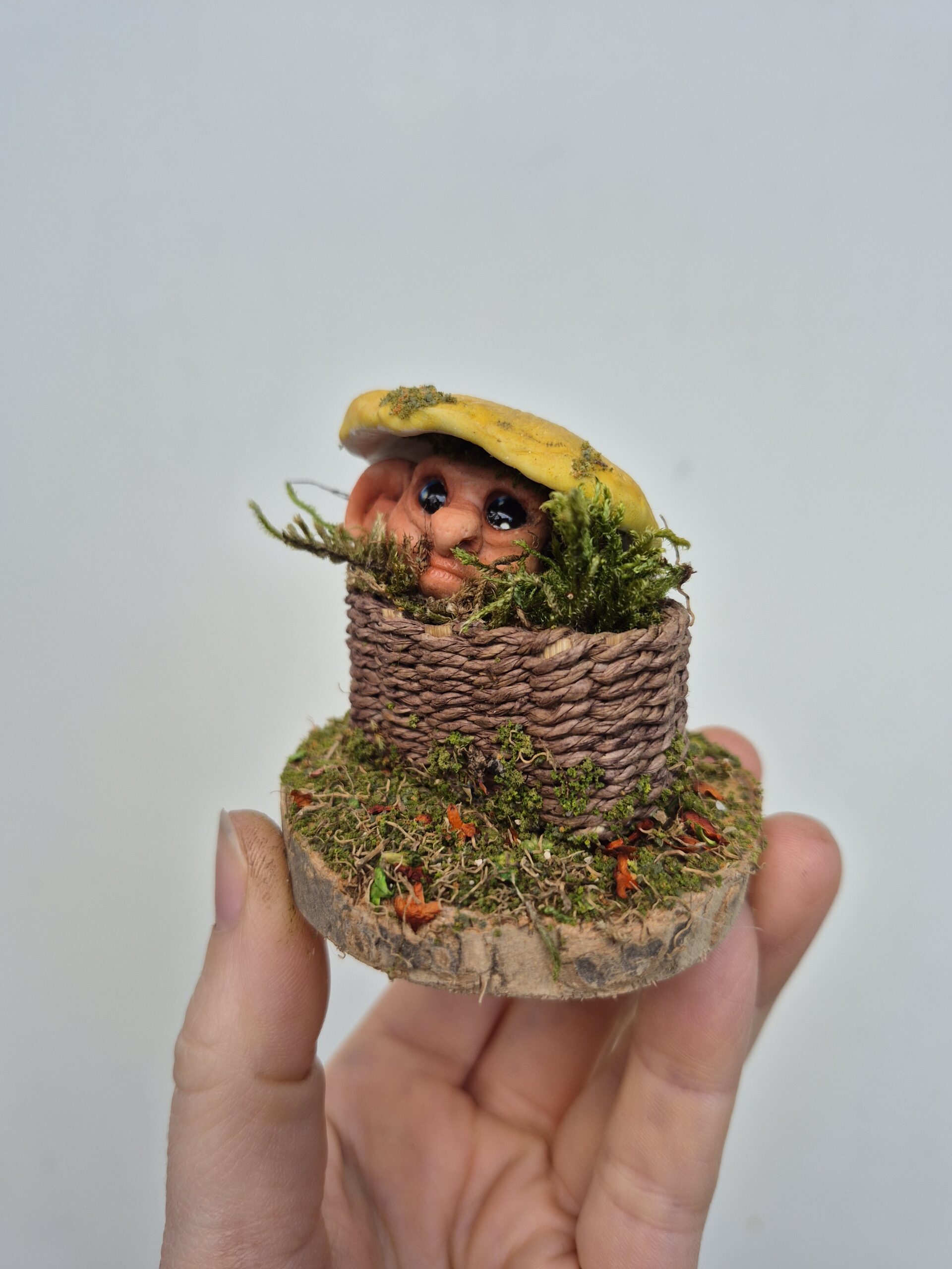 Pip - Image 4