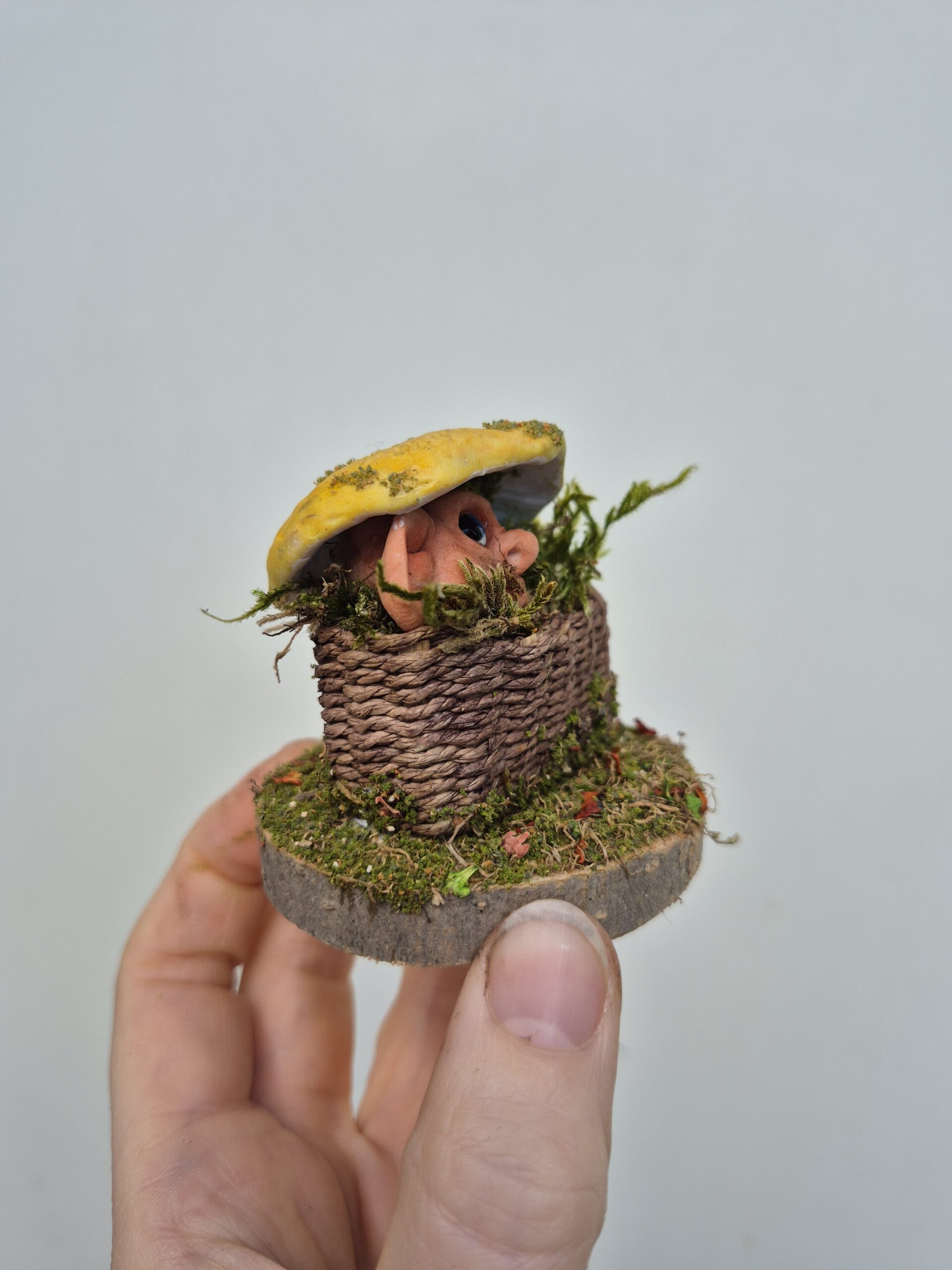 Pip - Image 5