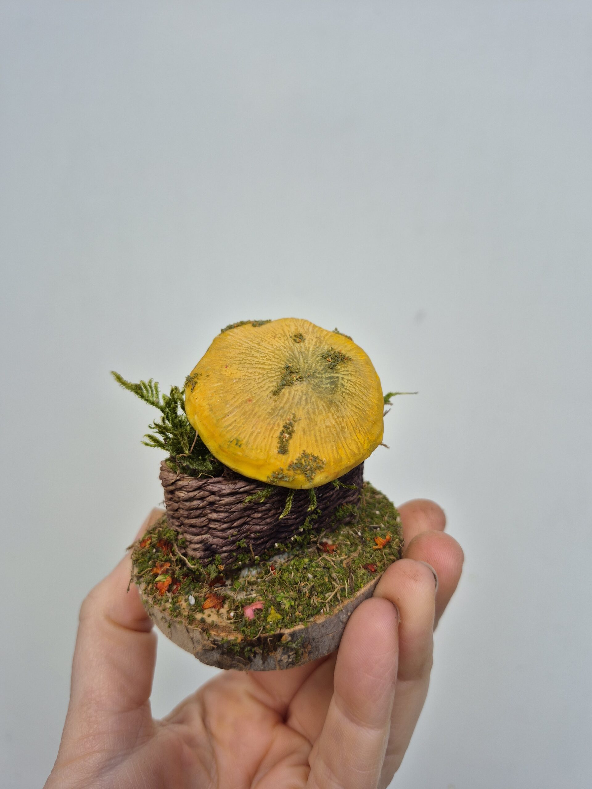 Pip - Image 6