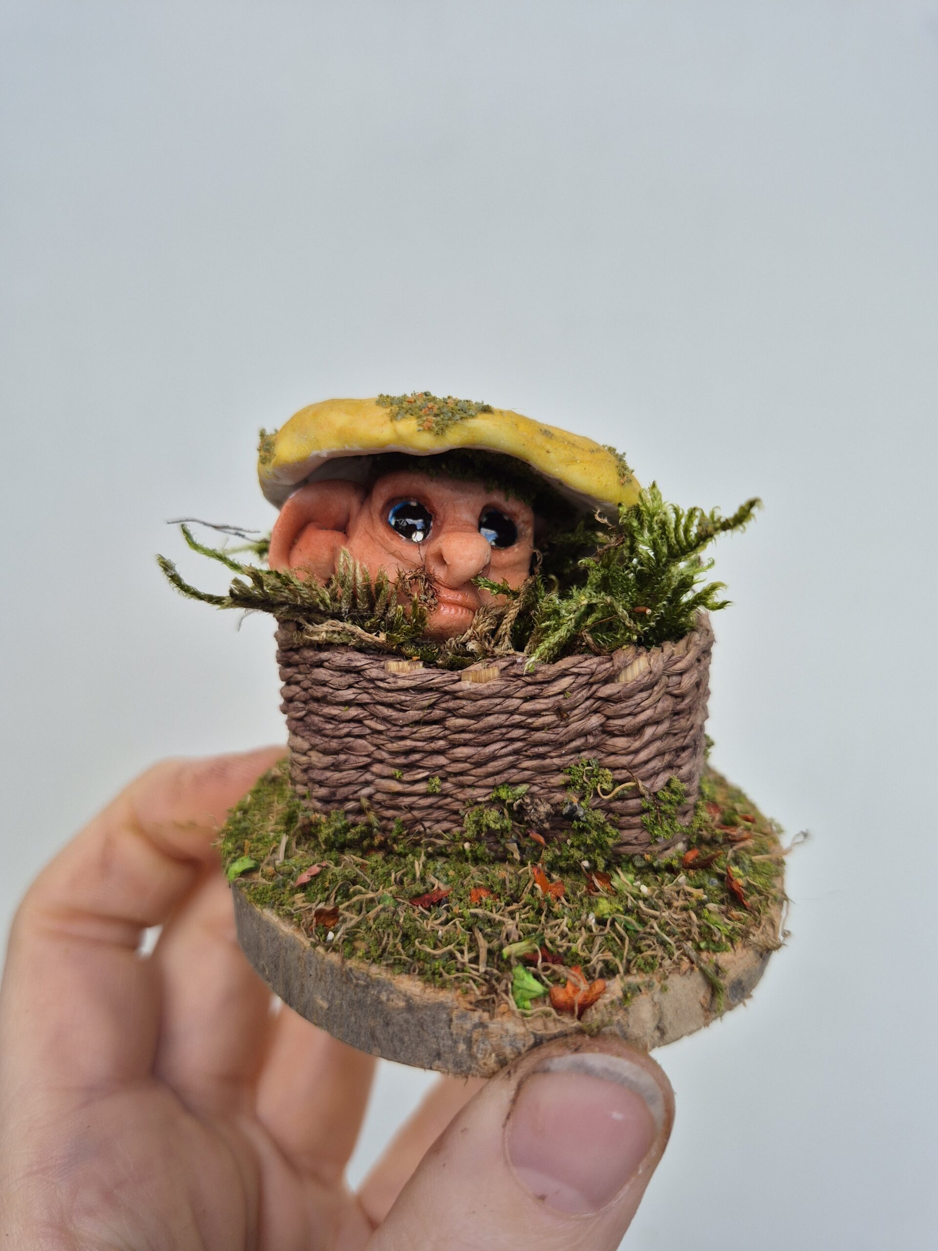 Pip - Image 7