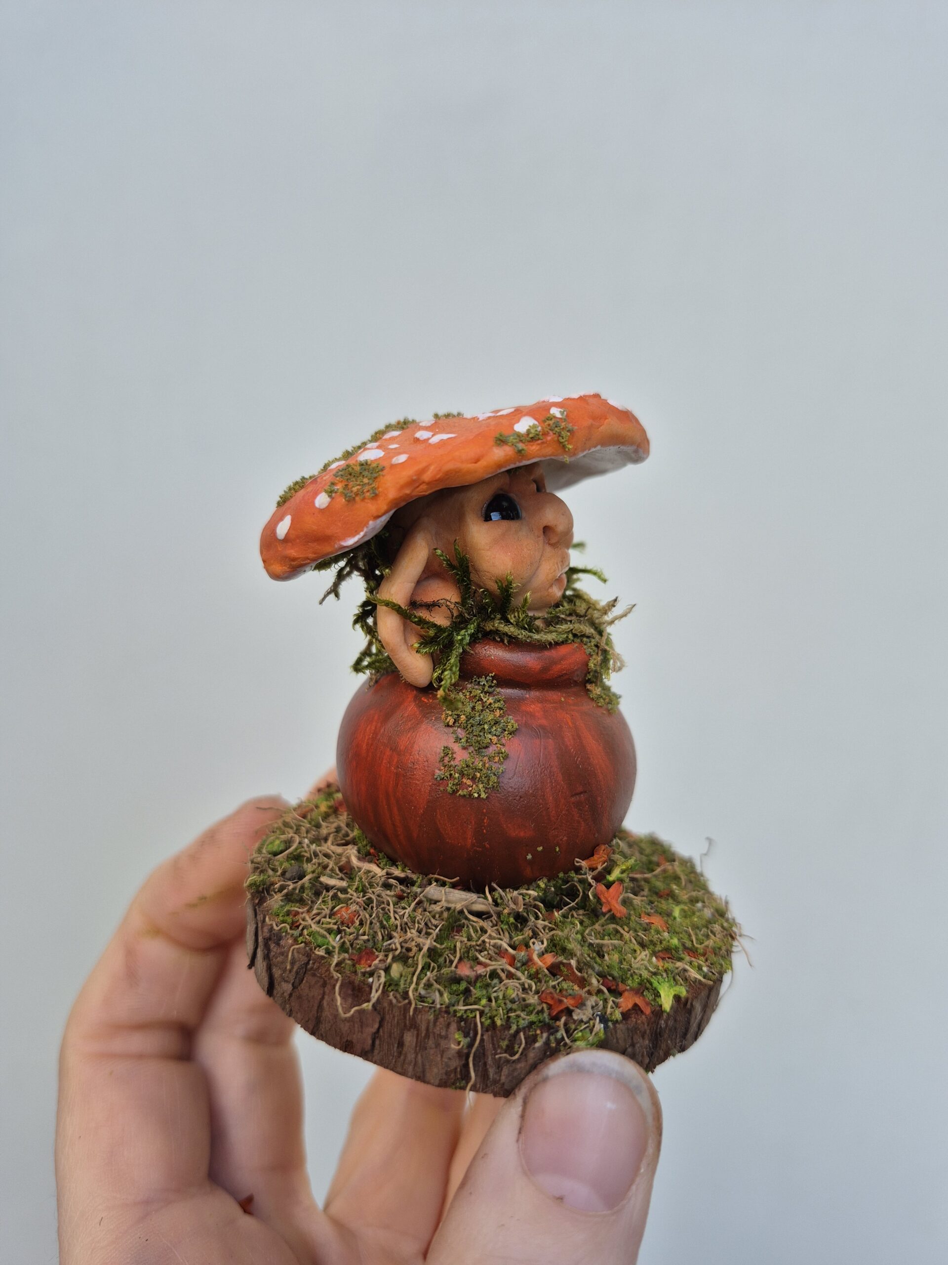 Tupp - Image 5