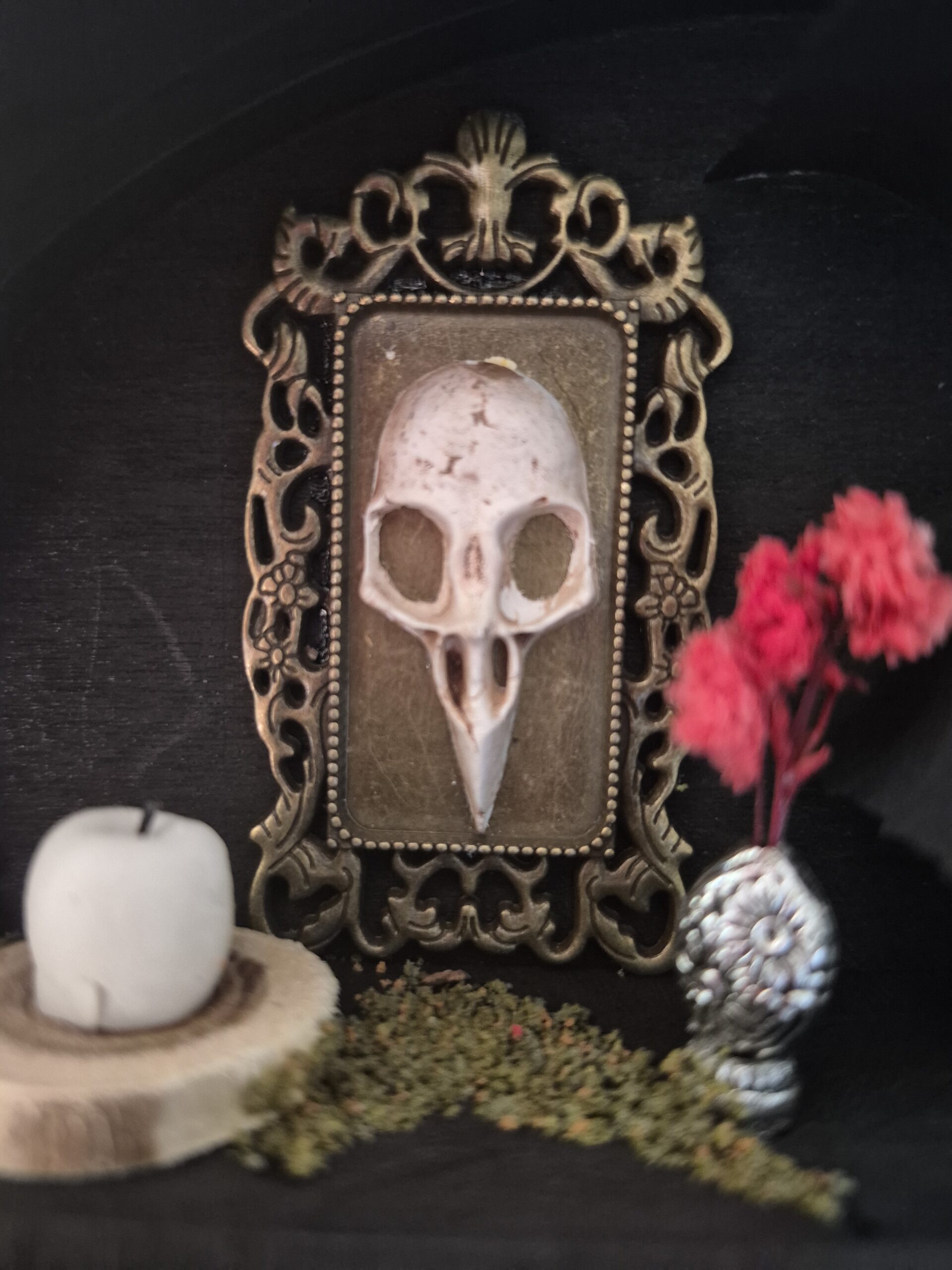 Sinister Witch Shelf - Image 6