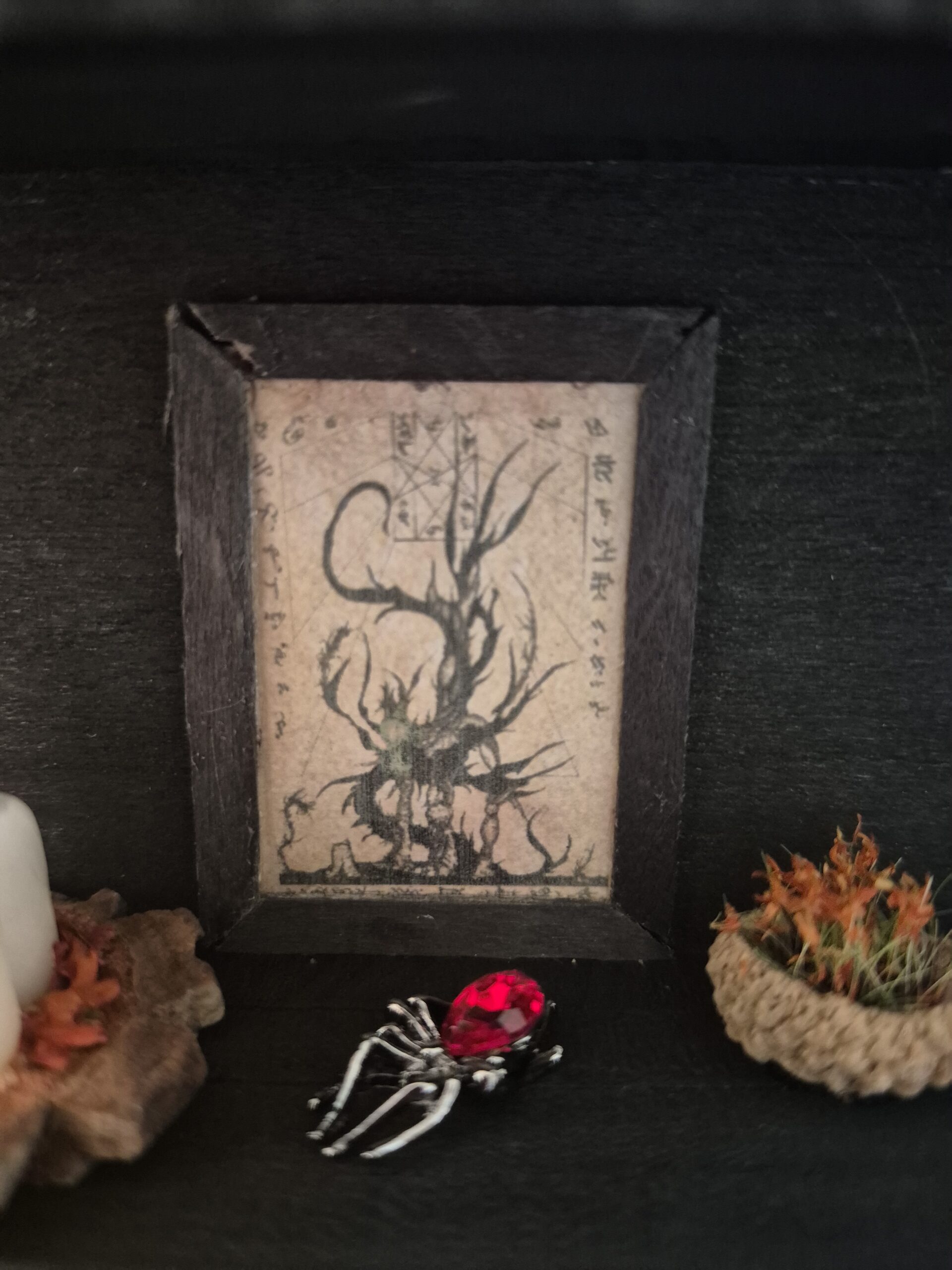 Sinister Witch Shelf - Image 9