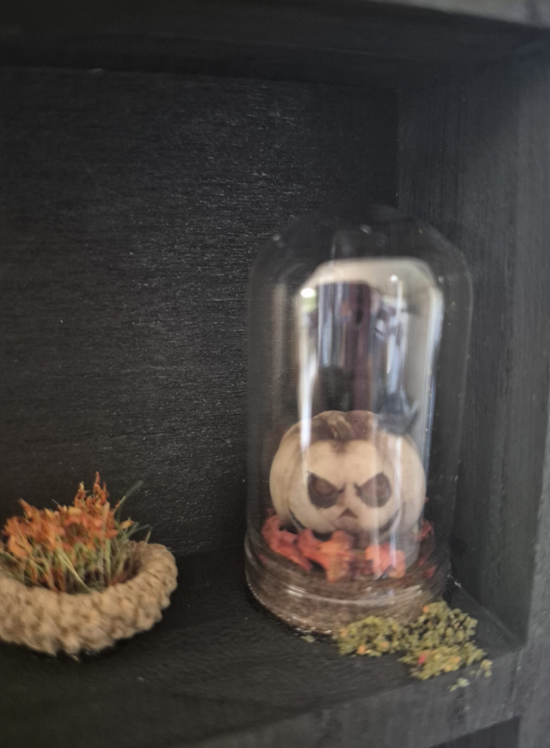 Sinister Witch Shelf - Image 10