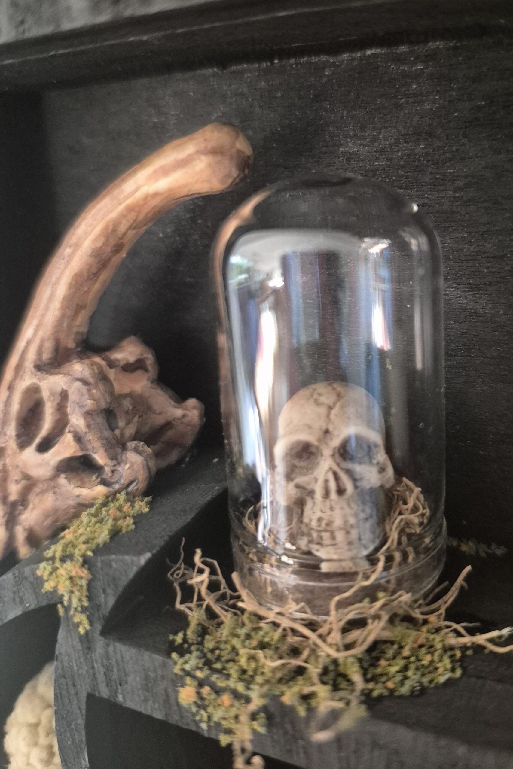 Sinister Witch Shelf - Image 11