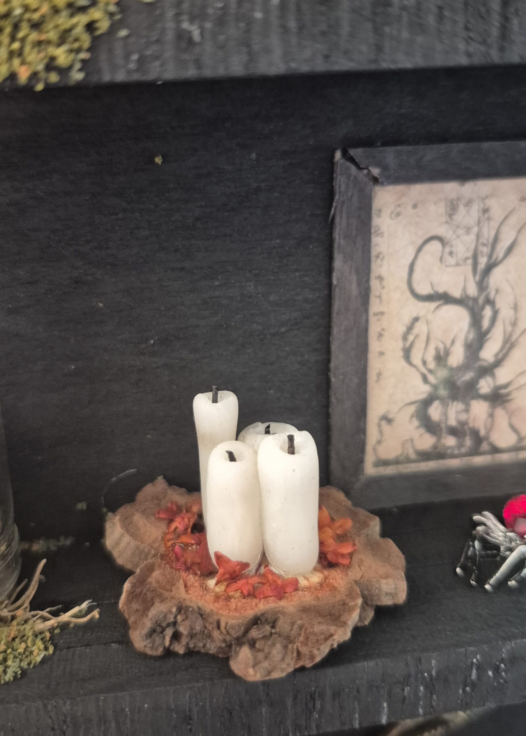 Sinister Witch Shelf - Image 15
