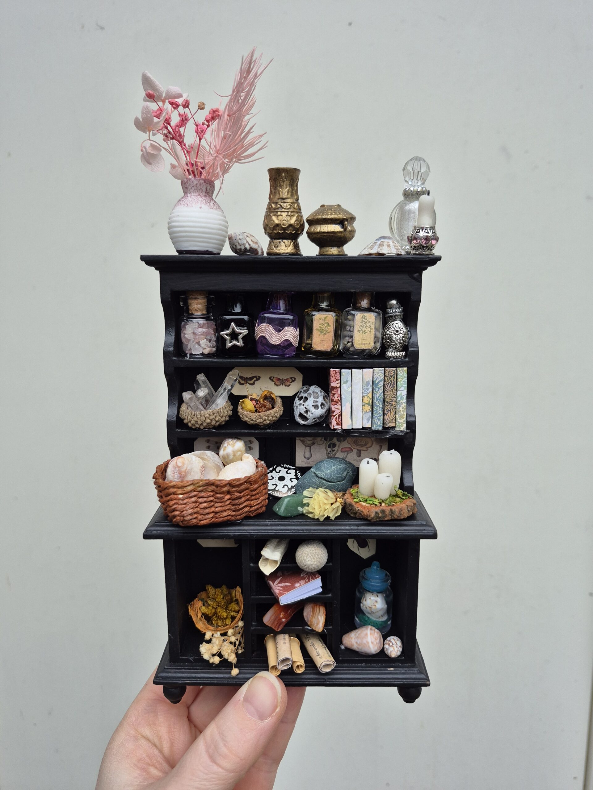 Botanical curiosity cabinet - Image 7