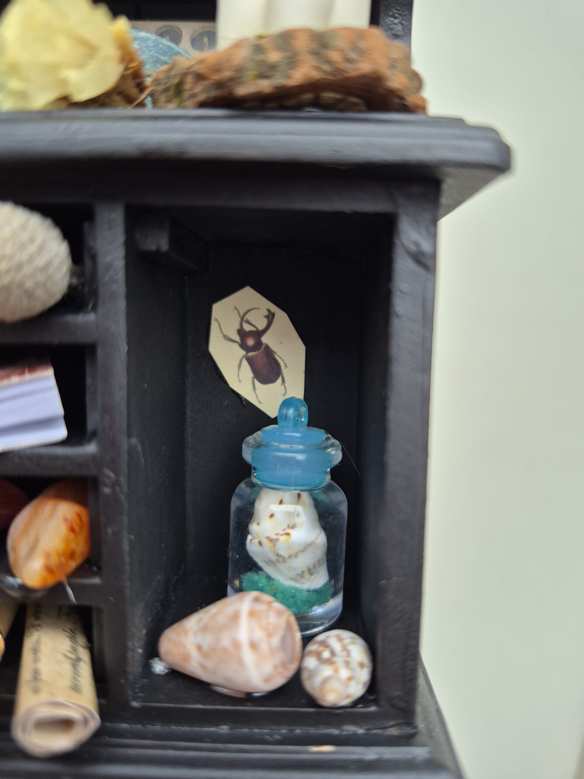 Botanical curiosity cabinet - Image 10