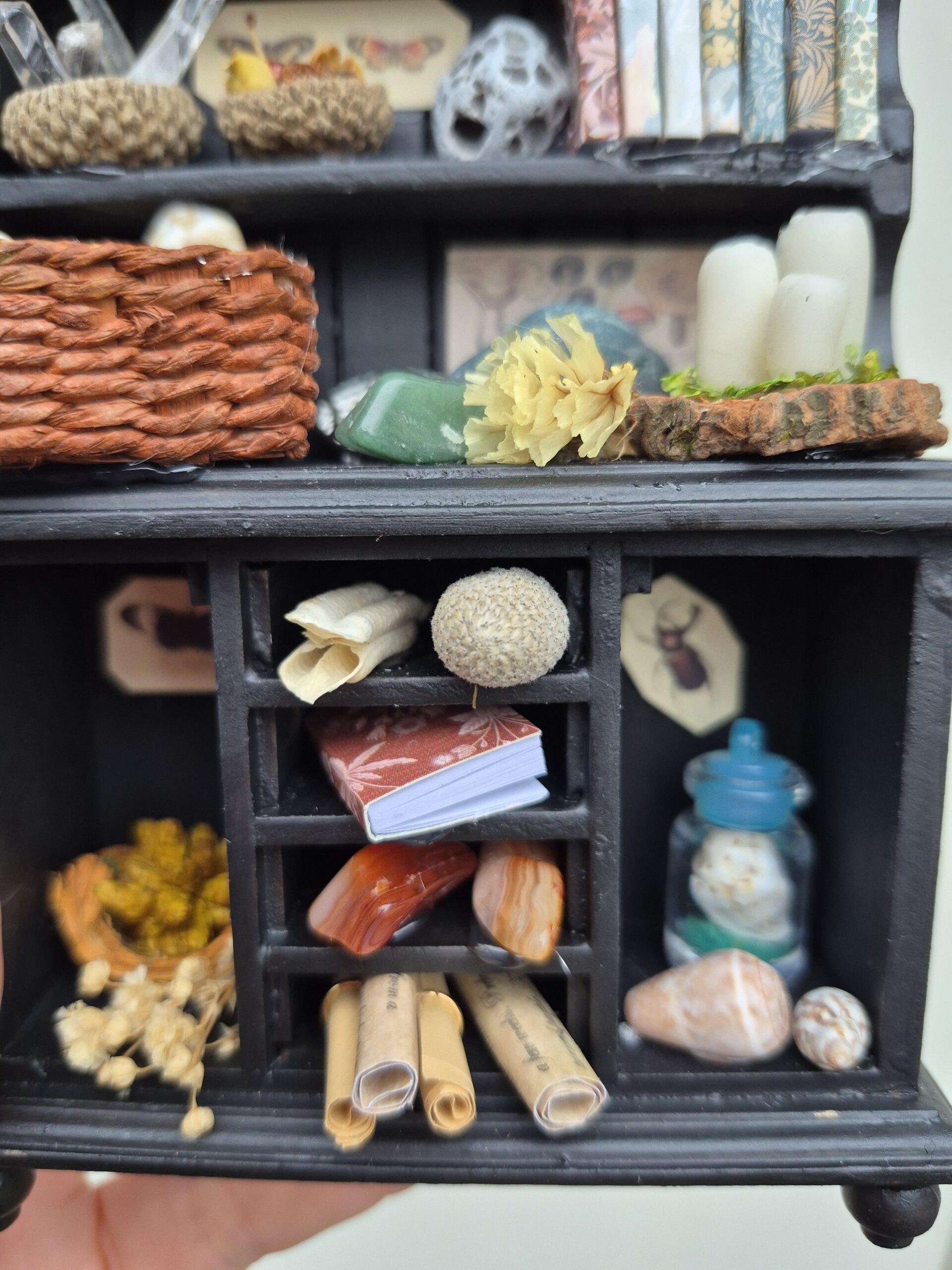 Botanical curiosity cabinet - Image 11