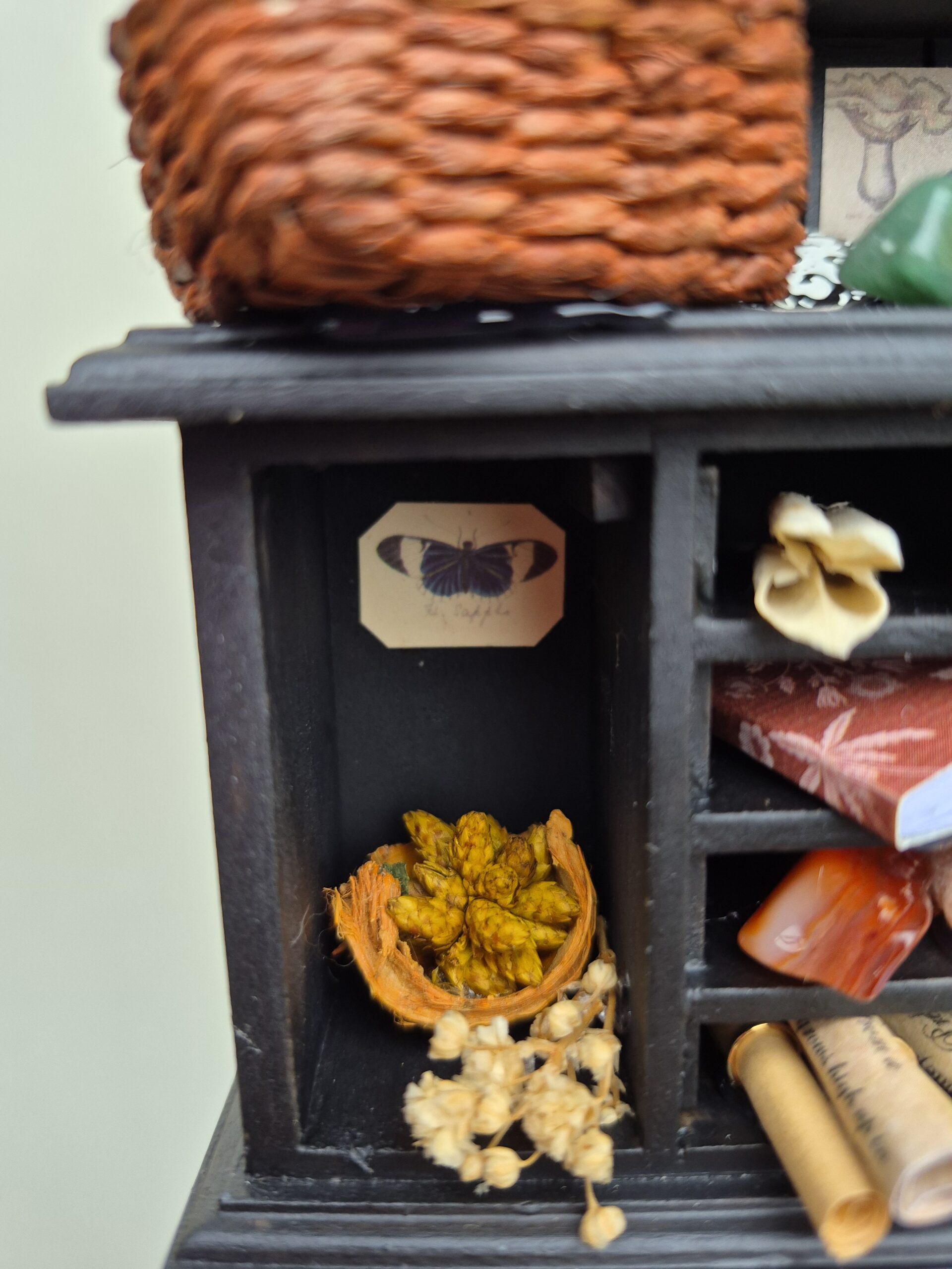 Botanical curiosity cabinet - Image 12