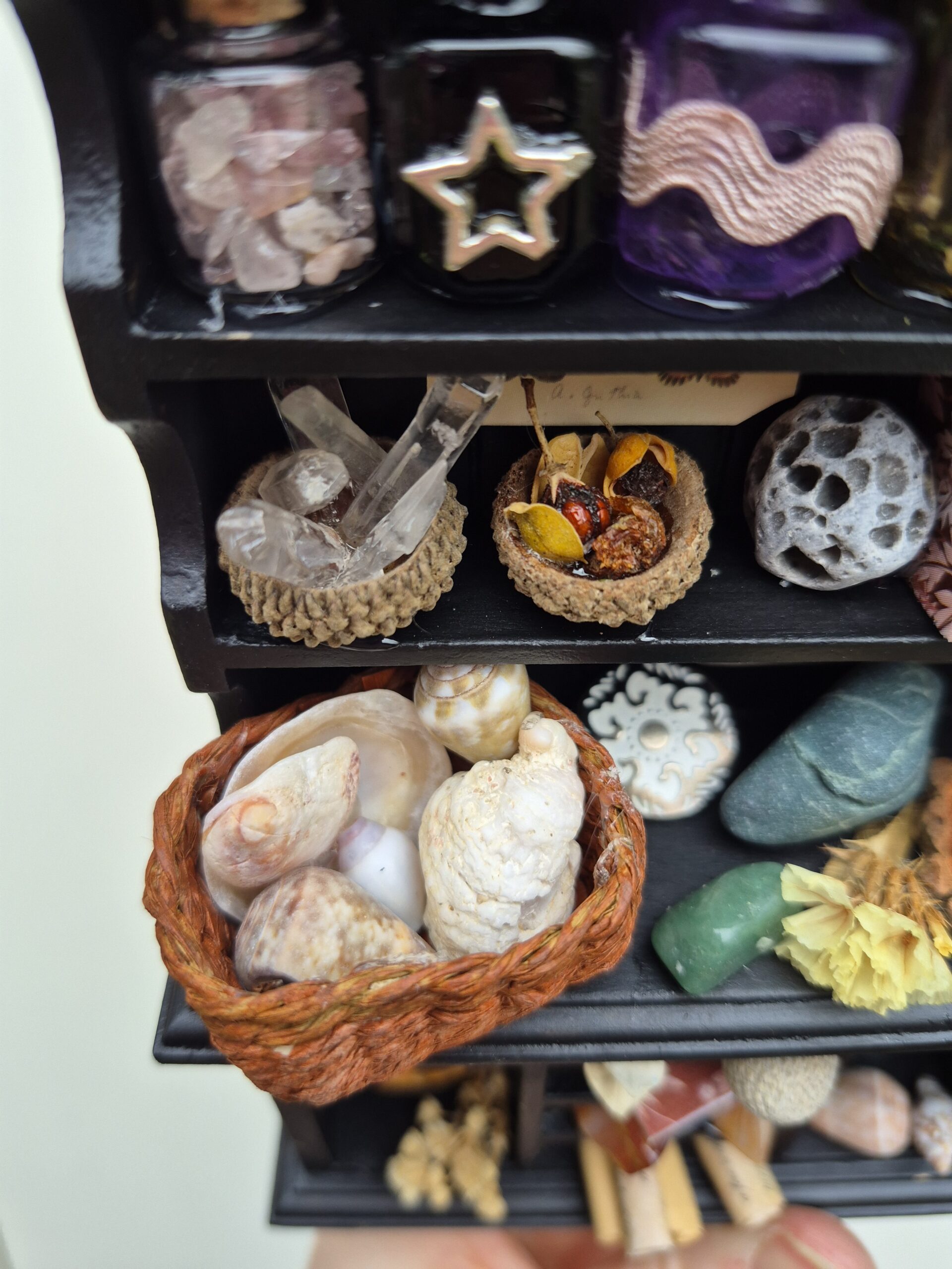 Botanical curiosity cabinet - Image 13
