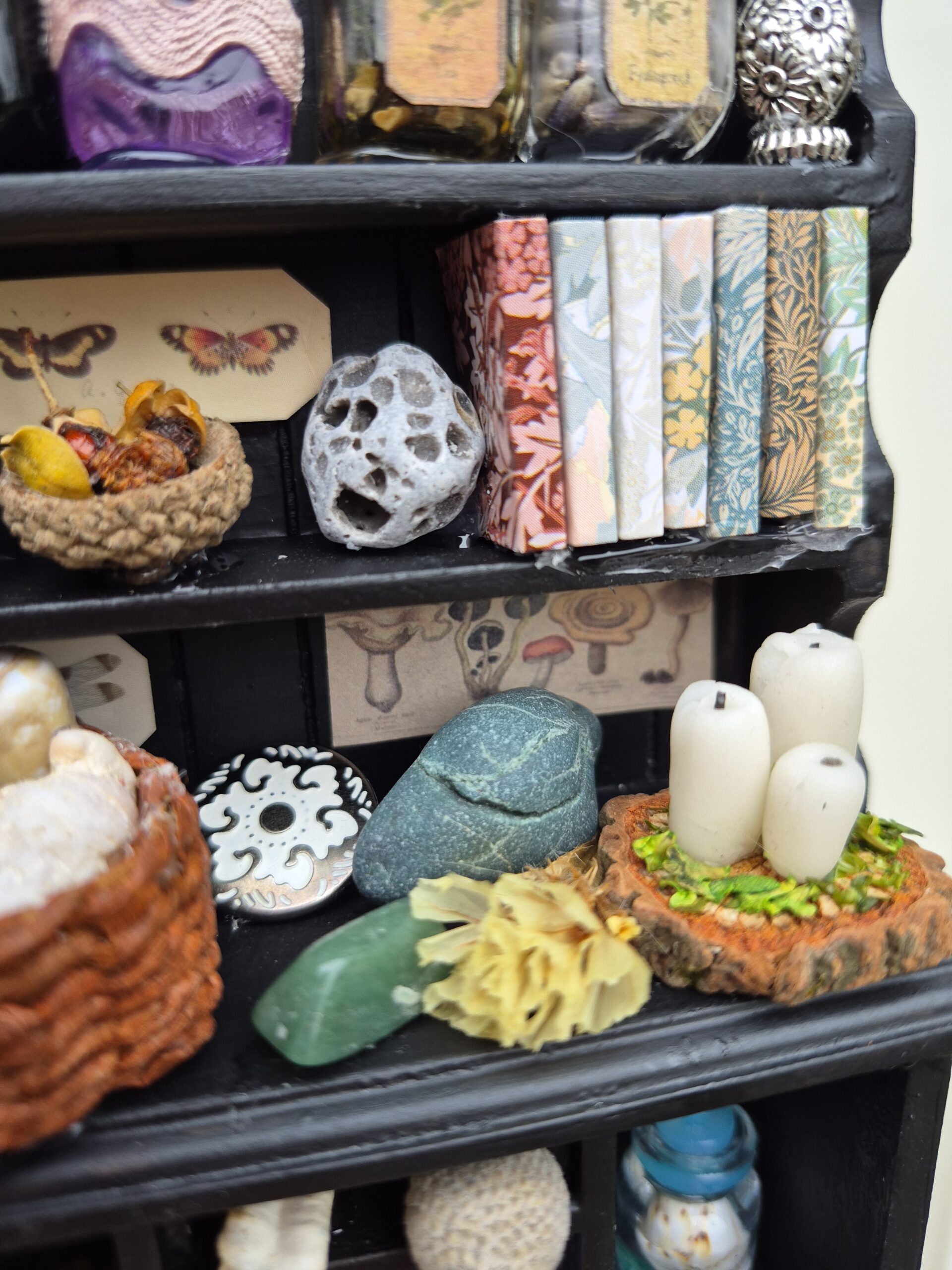 Botanical curiosity cabinet - Image 14