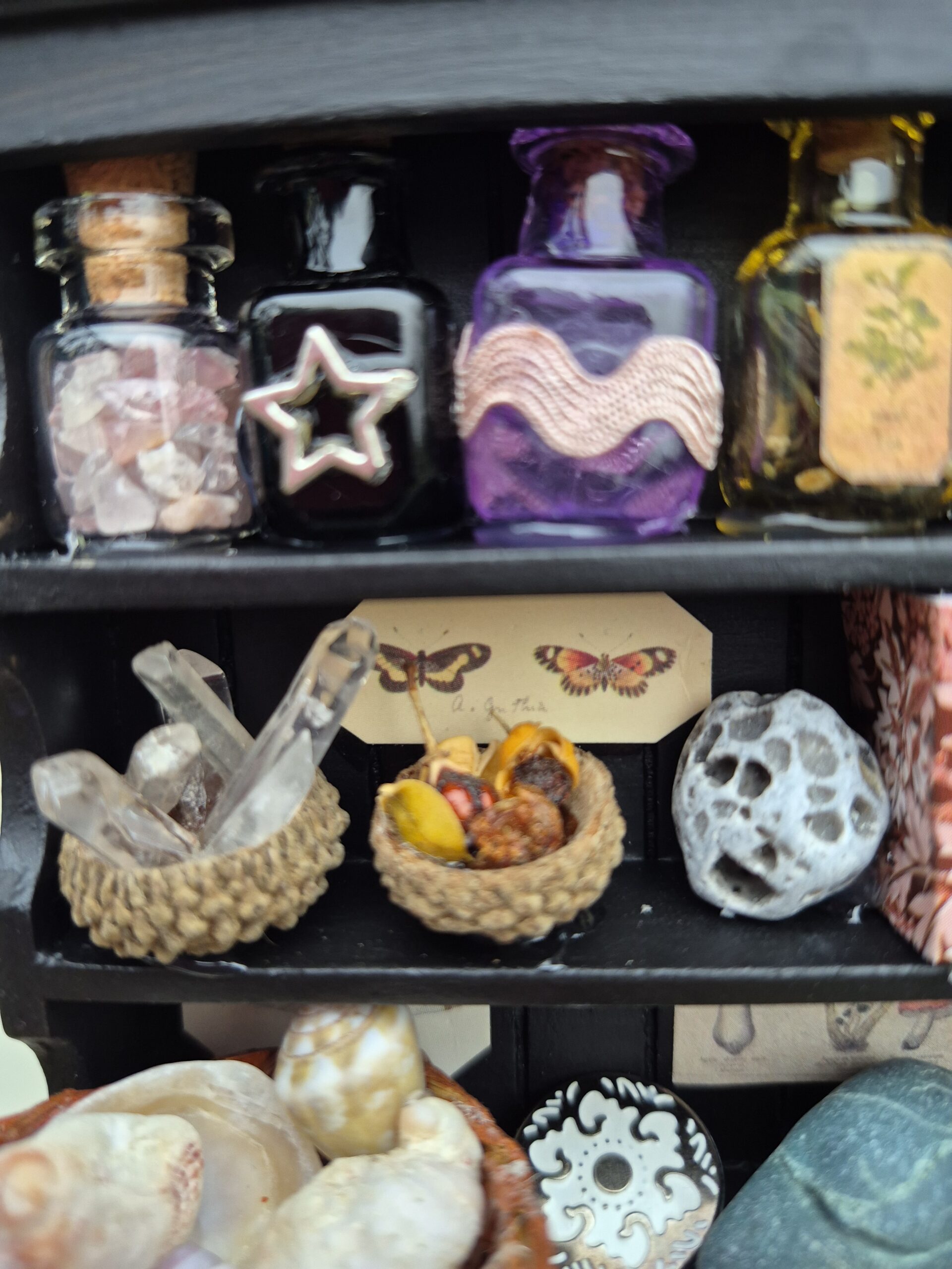 Botanical curiosity cabinet - Image 15