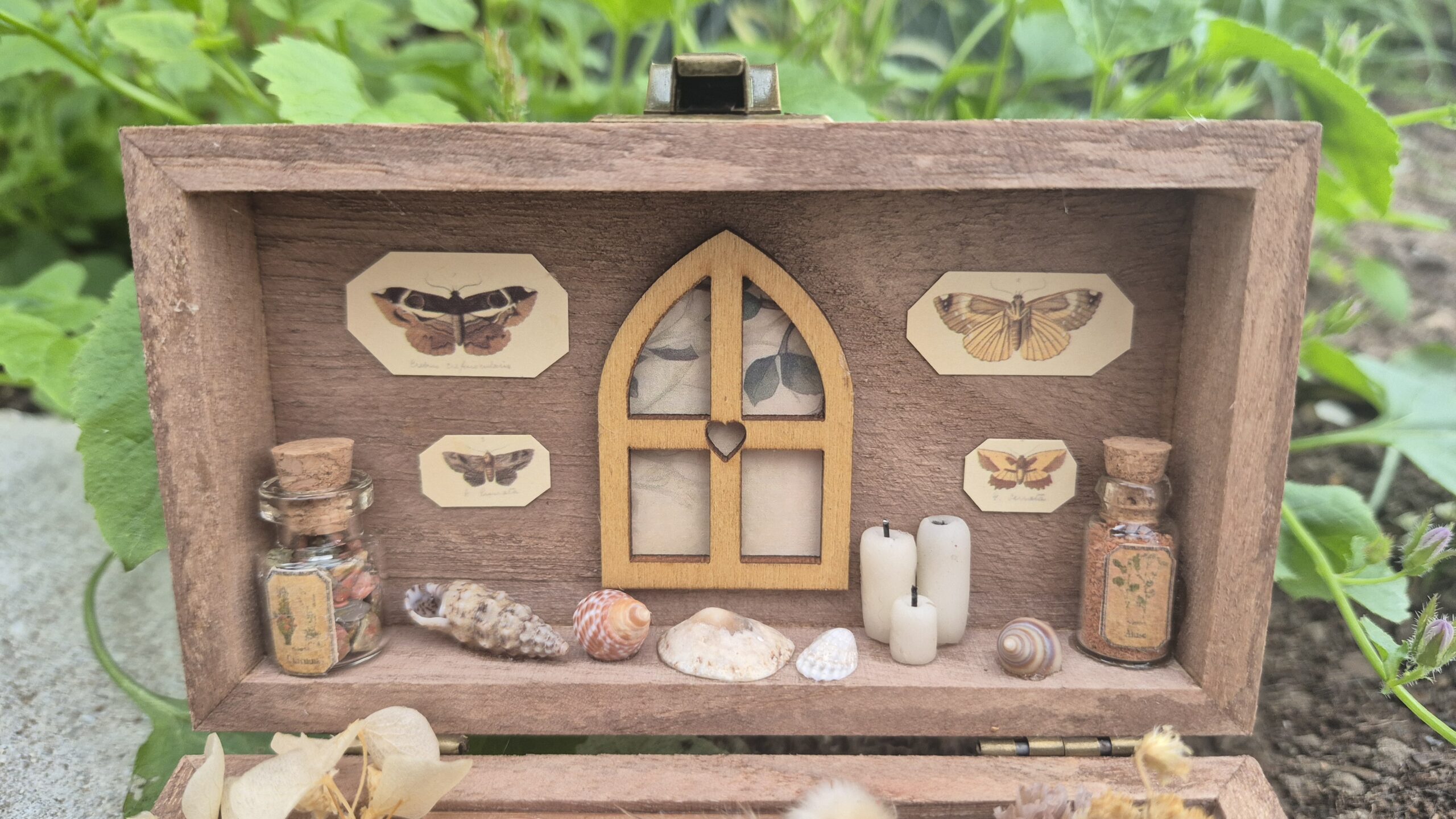 Botanical Curiosity Box - Image 9