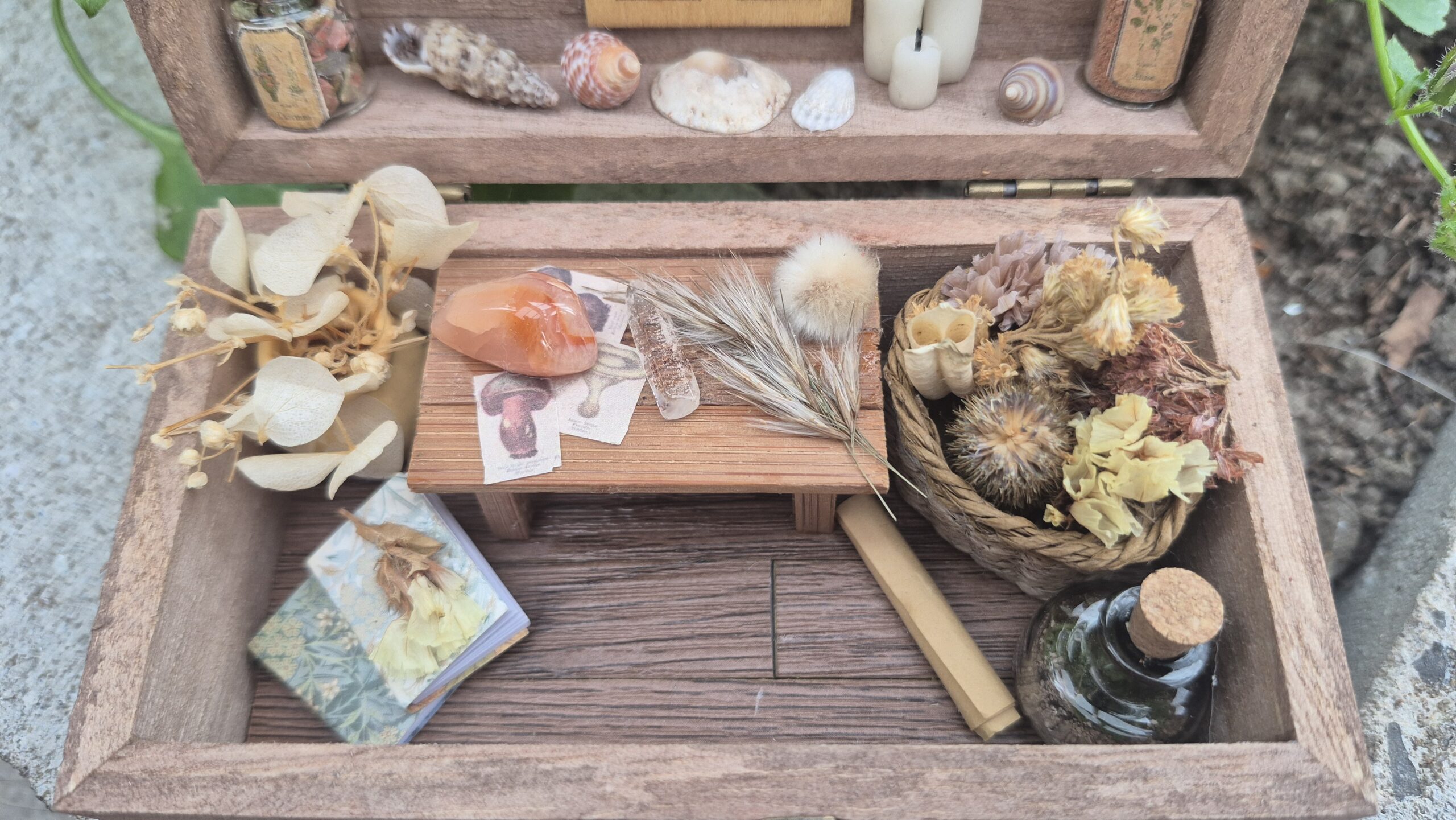 Botanical Curiosity Box - Image 8