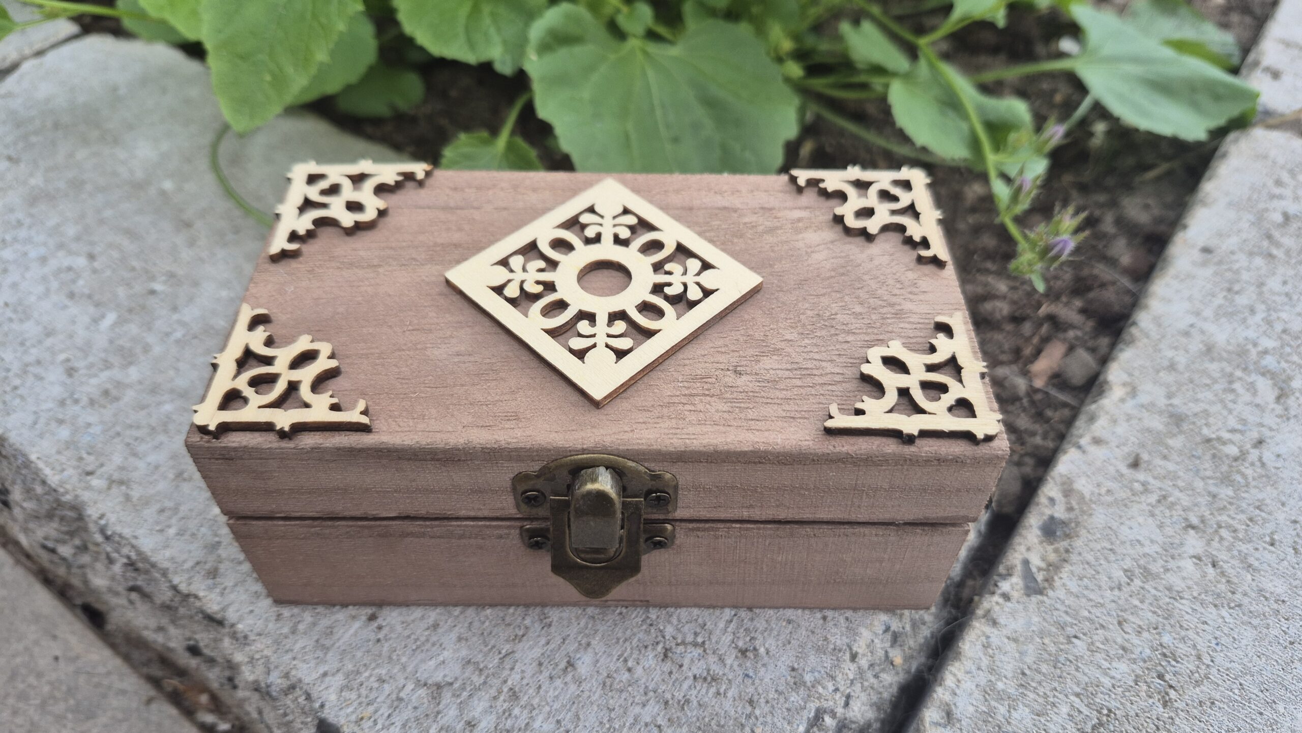 Botanical Curiosity Box - Image 11