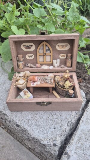 Botanical Curiosity Box