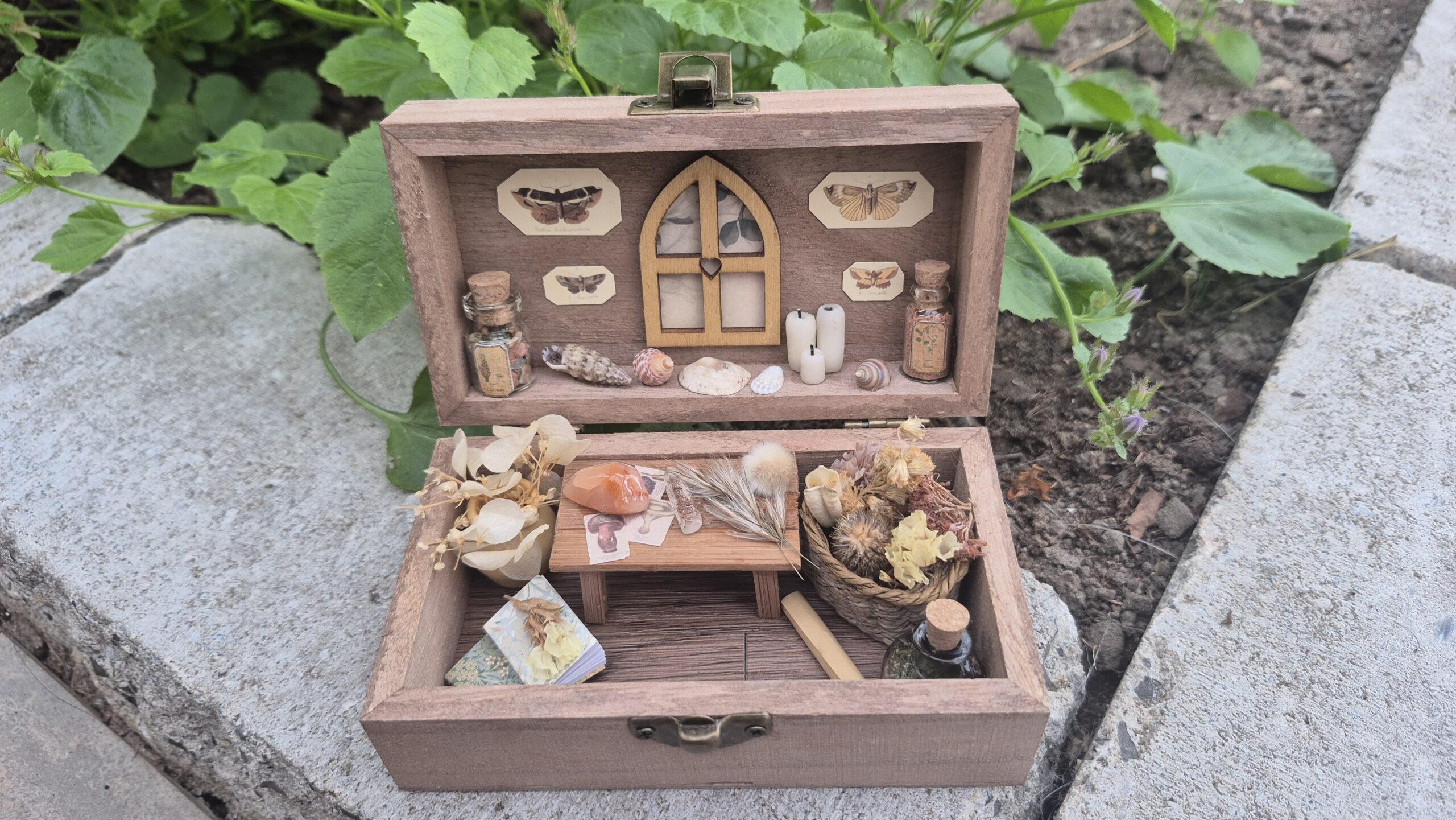 Botanical Curiosity Box - Image 10