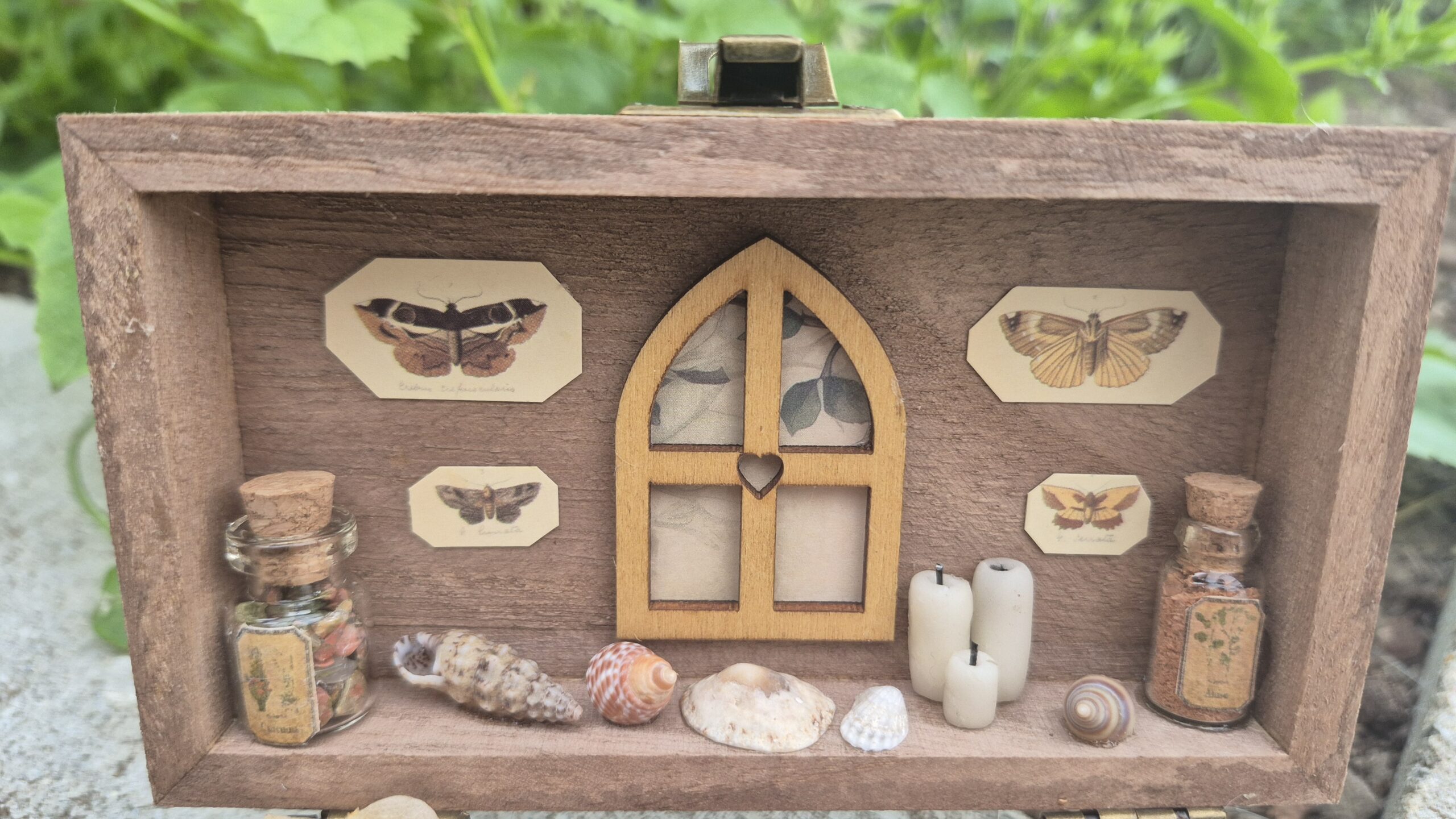 Botanical Curiosity Box - Image 2